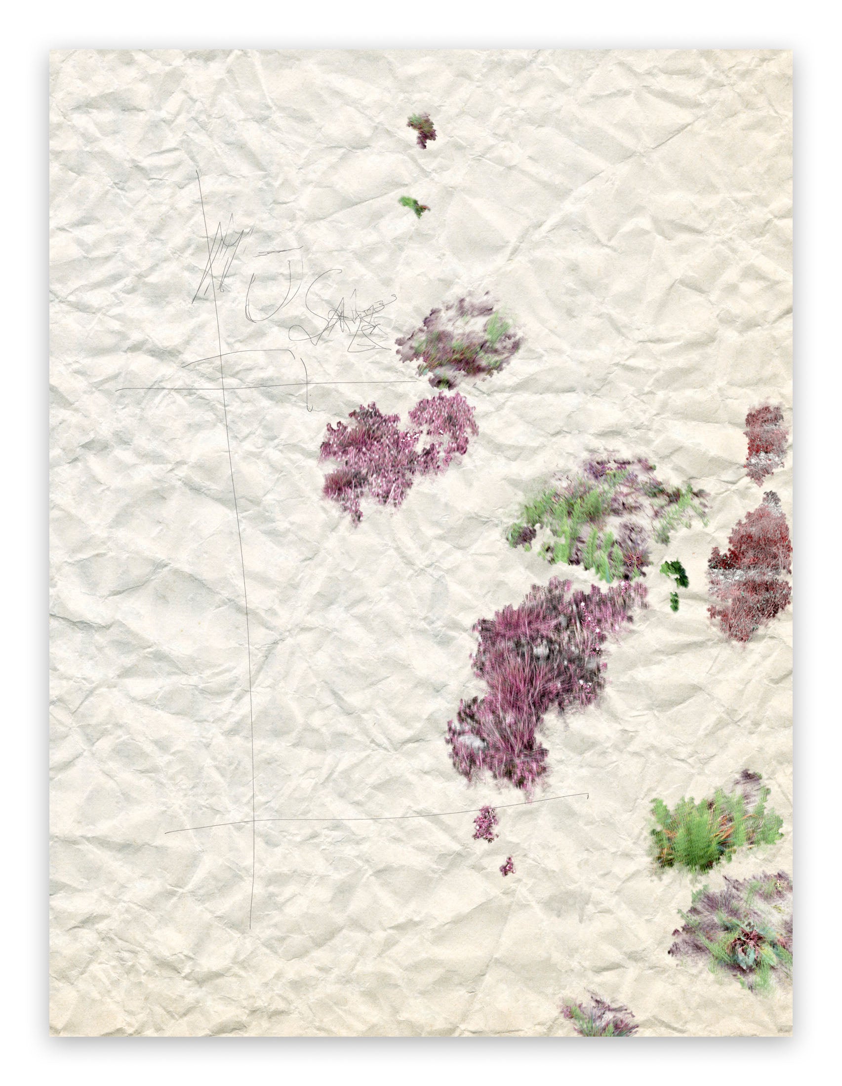 II. Marvellous Unconsciousness by Gianfranco Pezzot, 2017