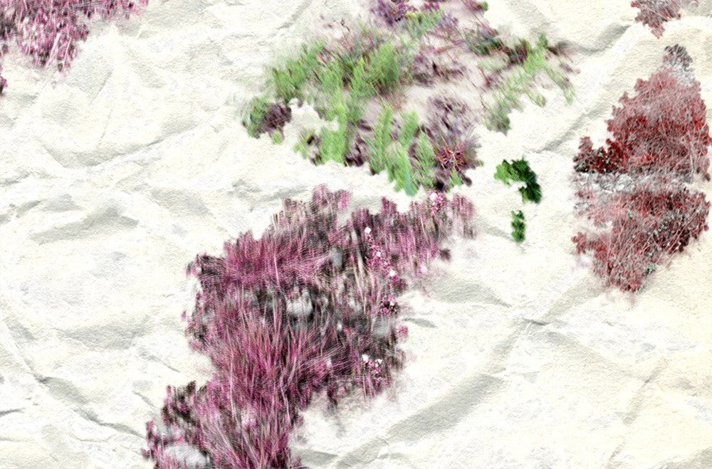 II. Marvellous Unconsciousness