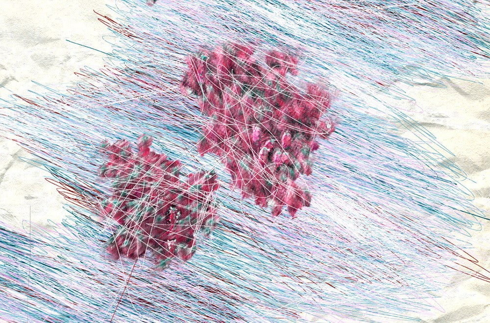 III. Deceit of Language