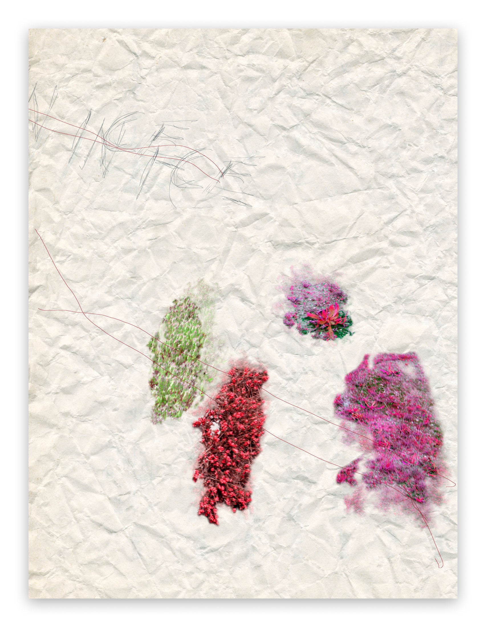 A piece of paper with a bunch of flowers on it.