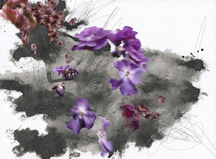 A painting of purple flowers on a white background.