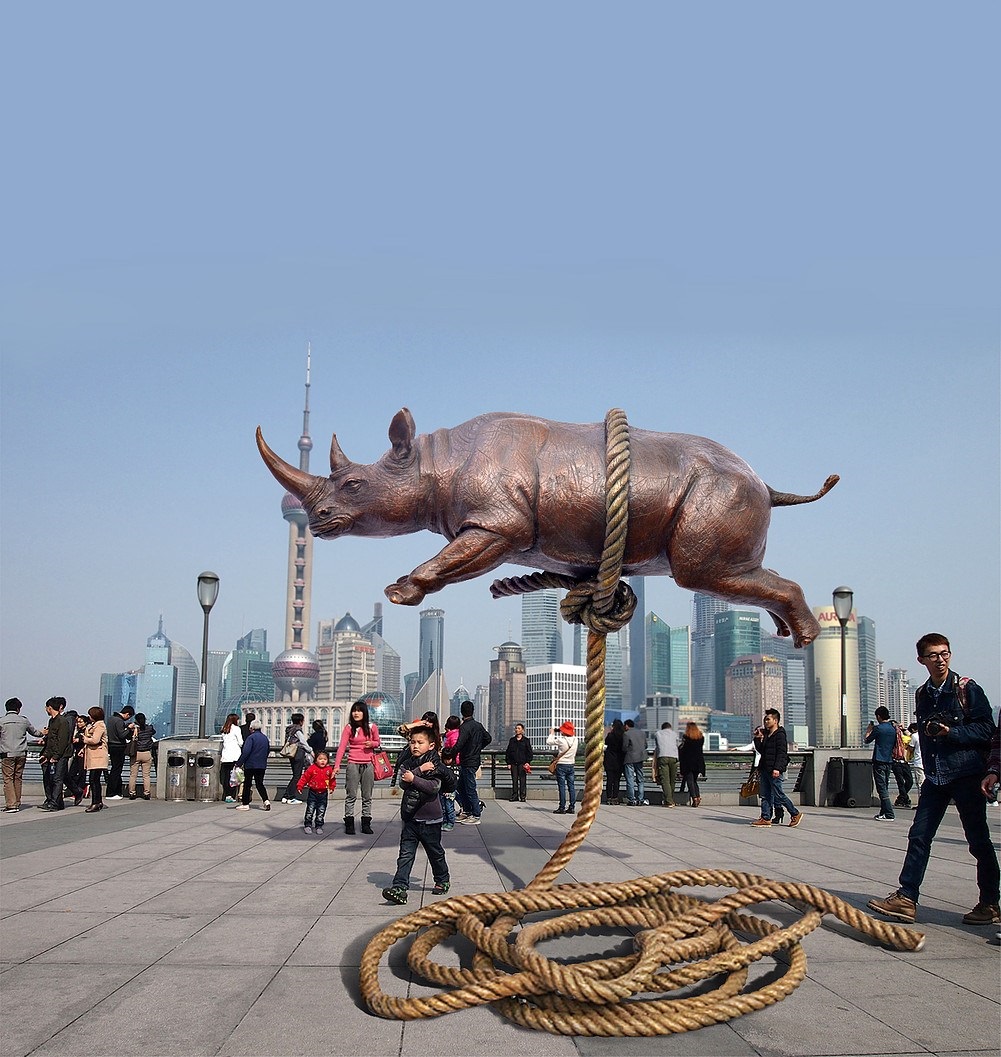 Flying high that ever before by Gillie & Marc Schattner, 2016