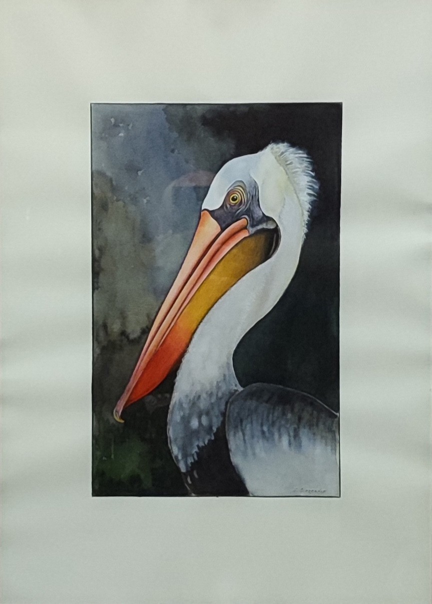A painting of a pelican with a long beak.