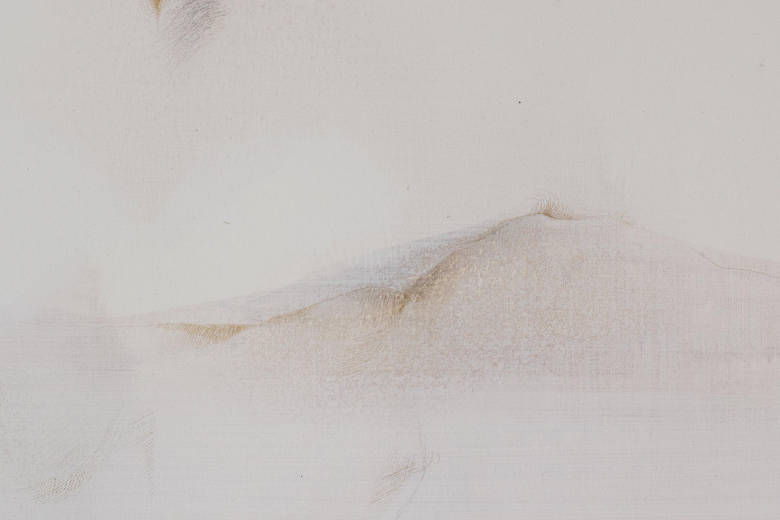 A drawing of a woman with her hair blowing in the wind.