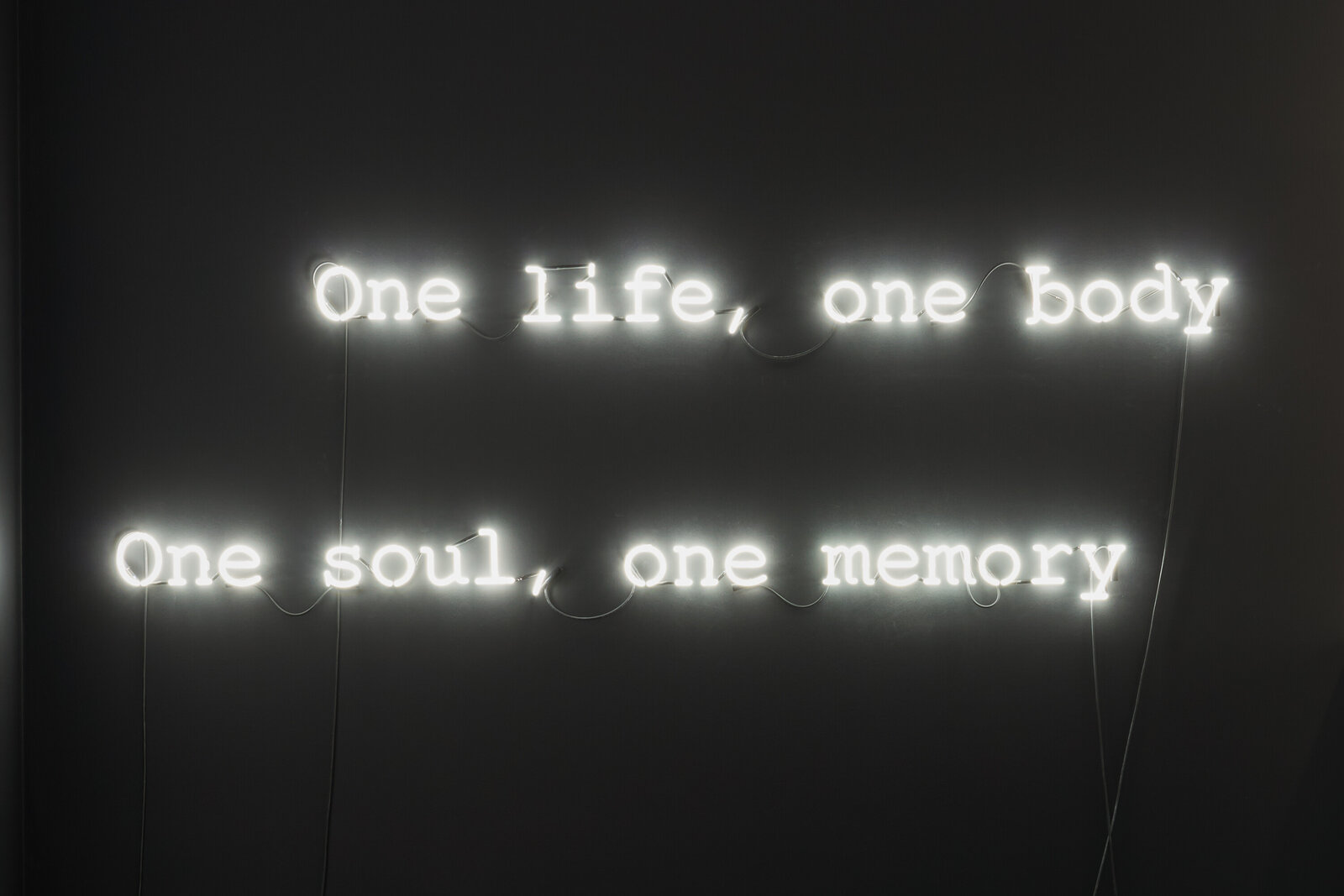 A neon sign that says one life, one body, one soul, one memory.