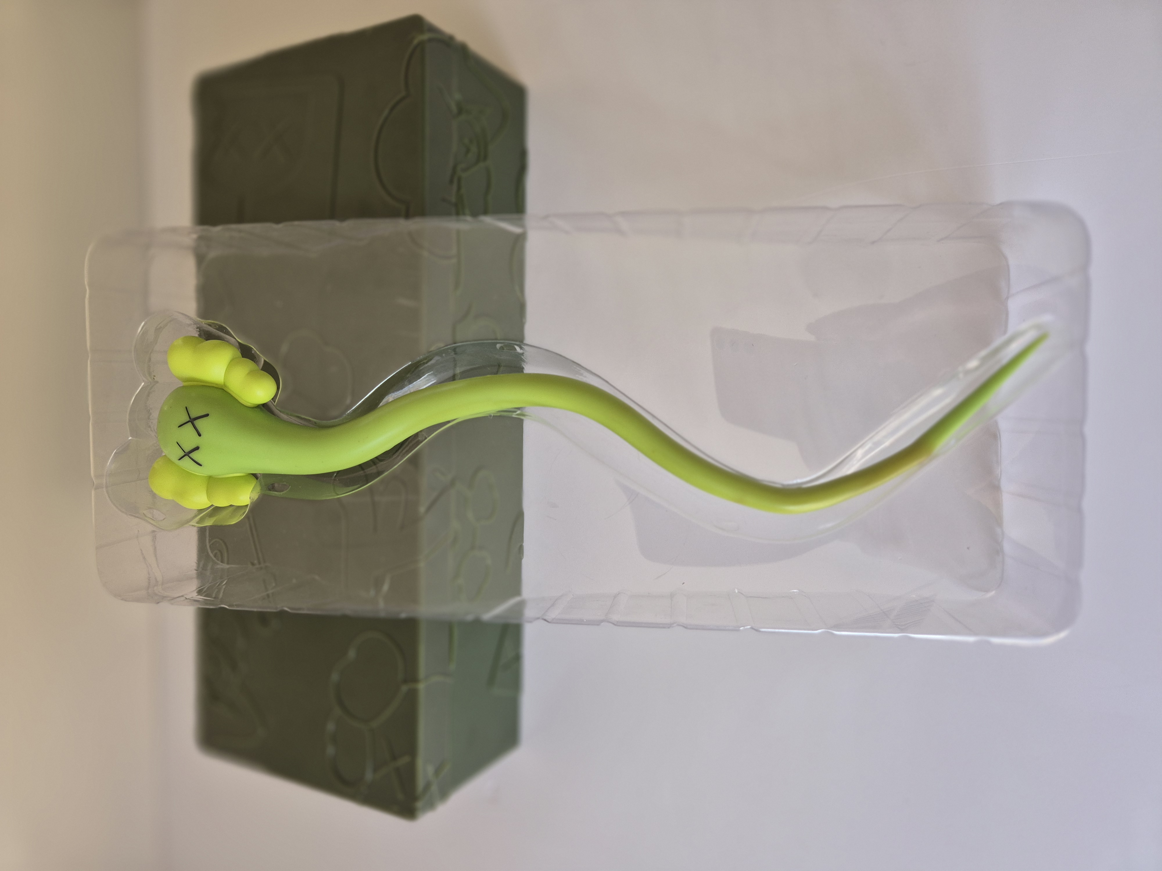 A green snake in a clear plastic box on a wall.