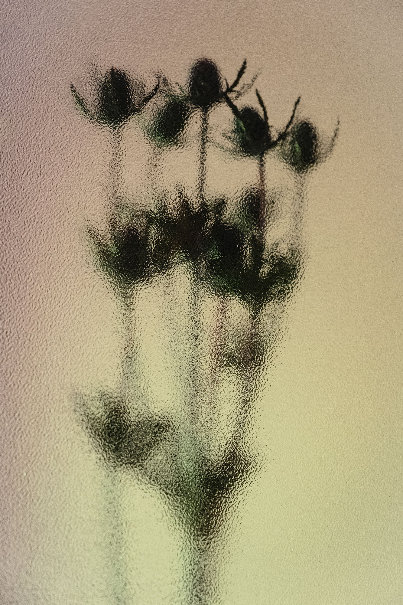 Stillness #2 by Griselda Duch, 2021