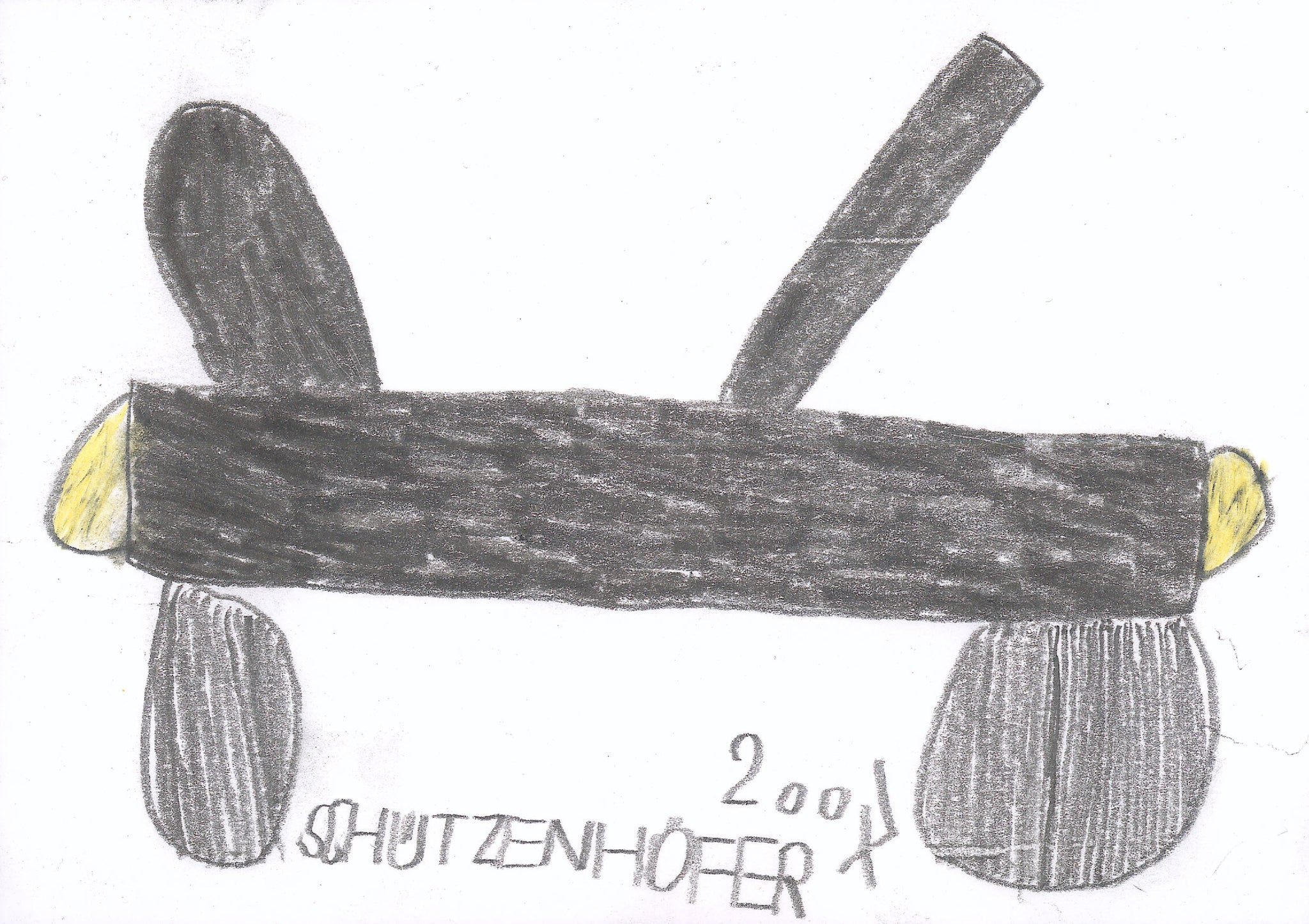 Aeroplane by Günther Schützenhöfer, 2007