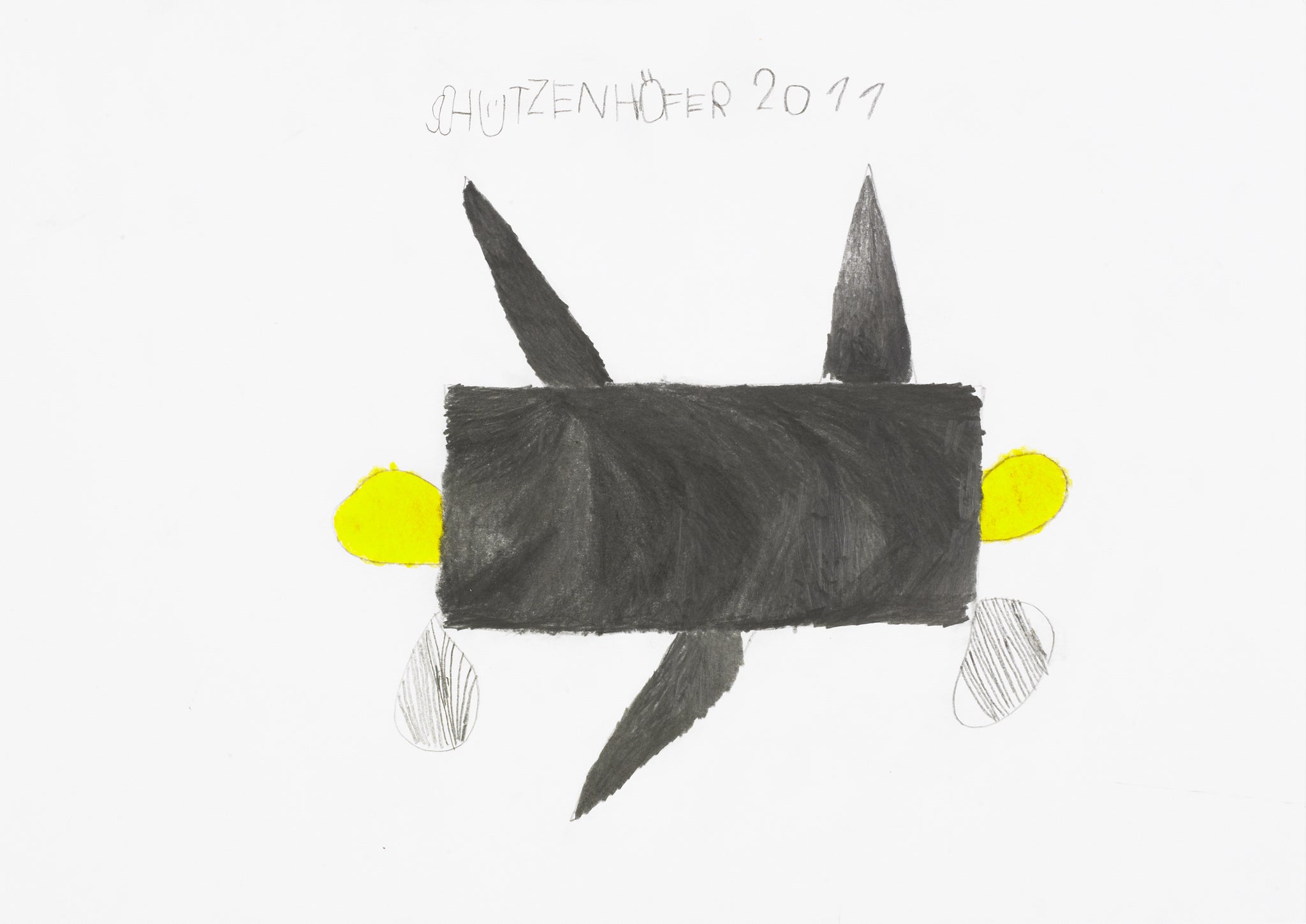 Aeroplane by Günther Schützenhöfer, 2011