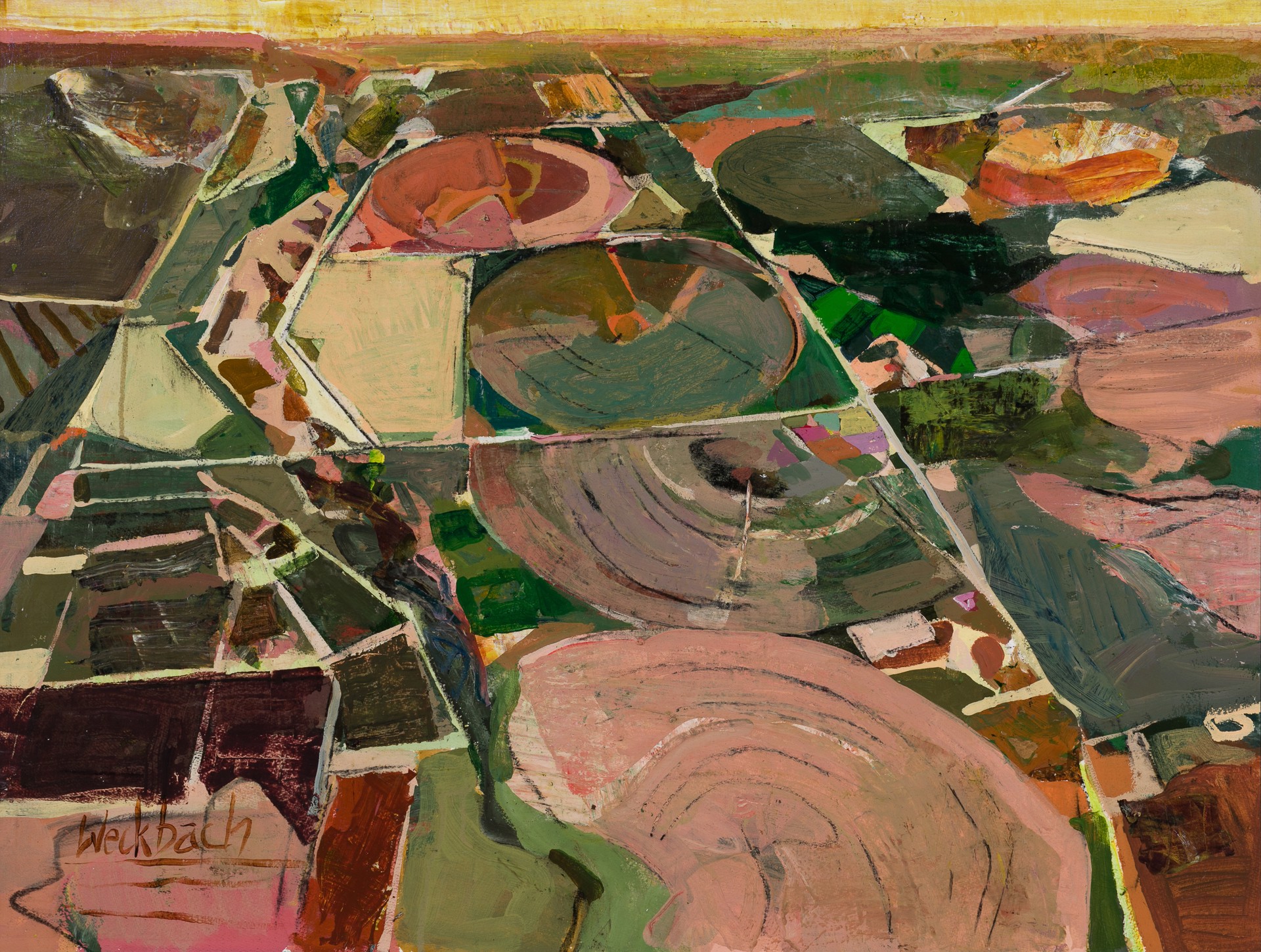 A vibrant abstract landscape painting featuring concentric circles and geometric fields in a palette of earthy greens, pinks, and browns.