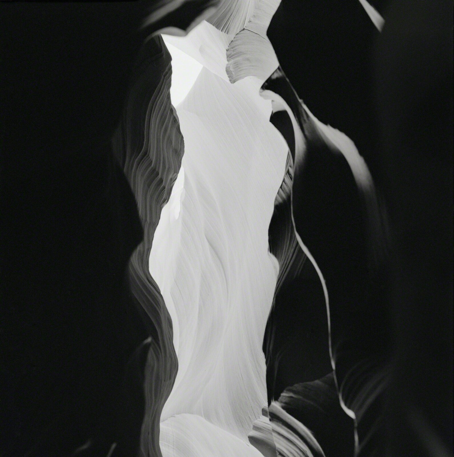 Carcava by Heather Boose Weiss, 2010