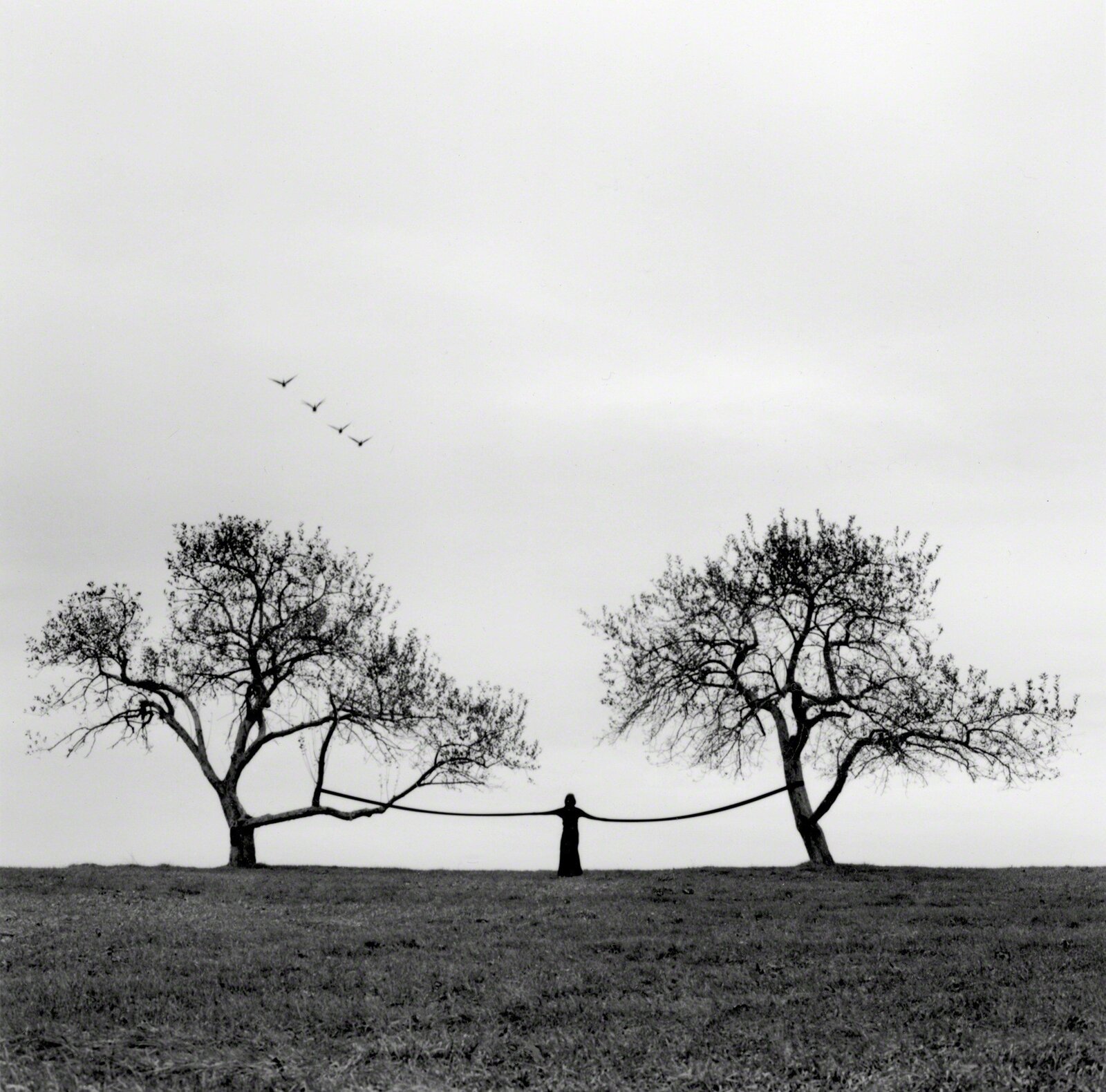 Artwork by Heather Boose Weiss