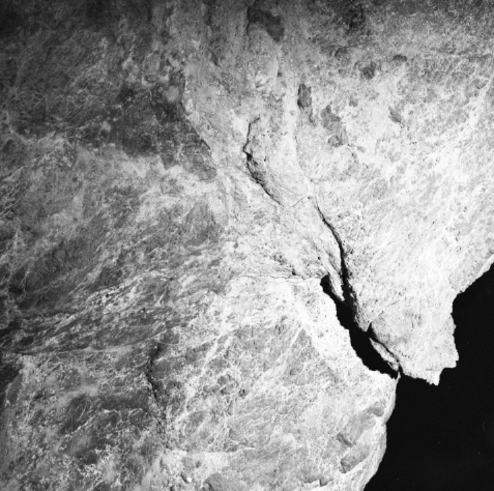 El Matador by Heather Boose Weiss, 2011