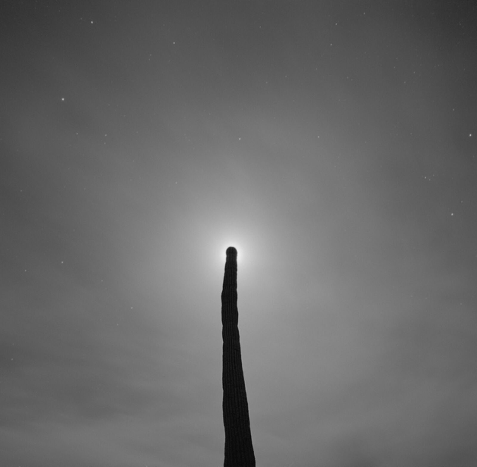 A black-and-white photograph of a tall, ribbed column reaching toward a bright light source against a starry sky.