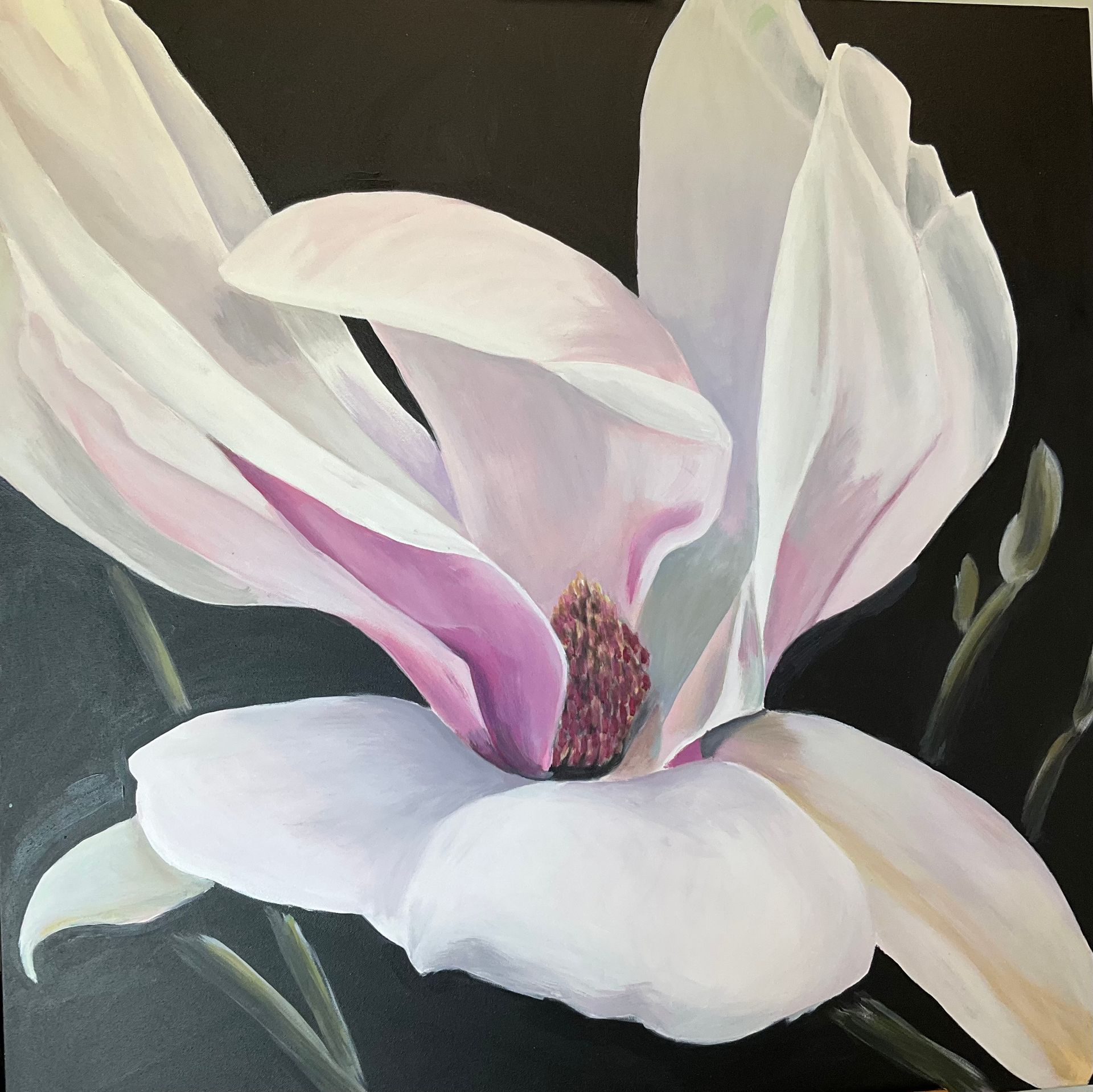 April Magnolia Before the Frost by Heidi Lichterman, 1941