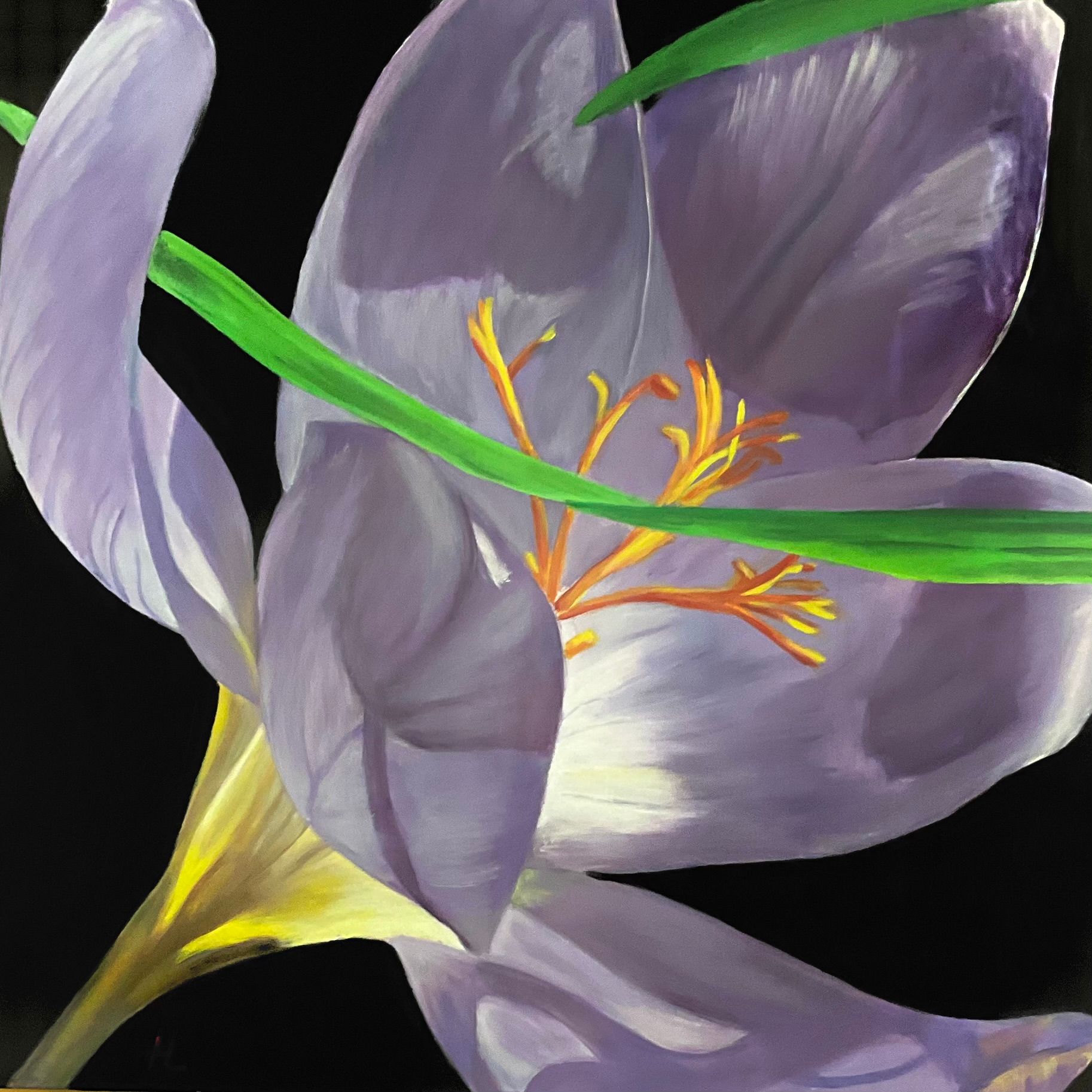 Autumn Crocus by Heidi Lichterman, 1941