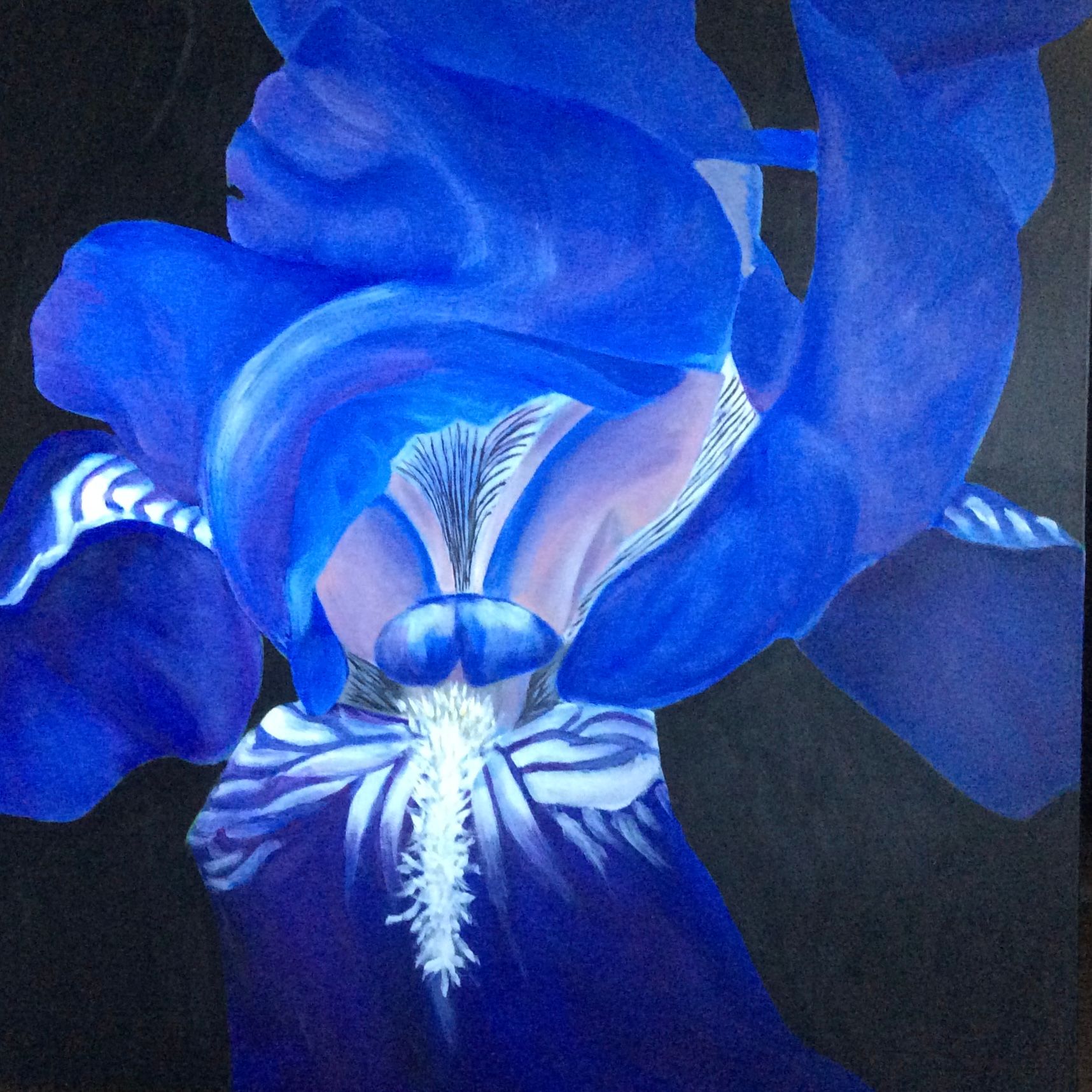 Blue Iris by Heidi Lichterman, 1941