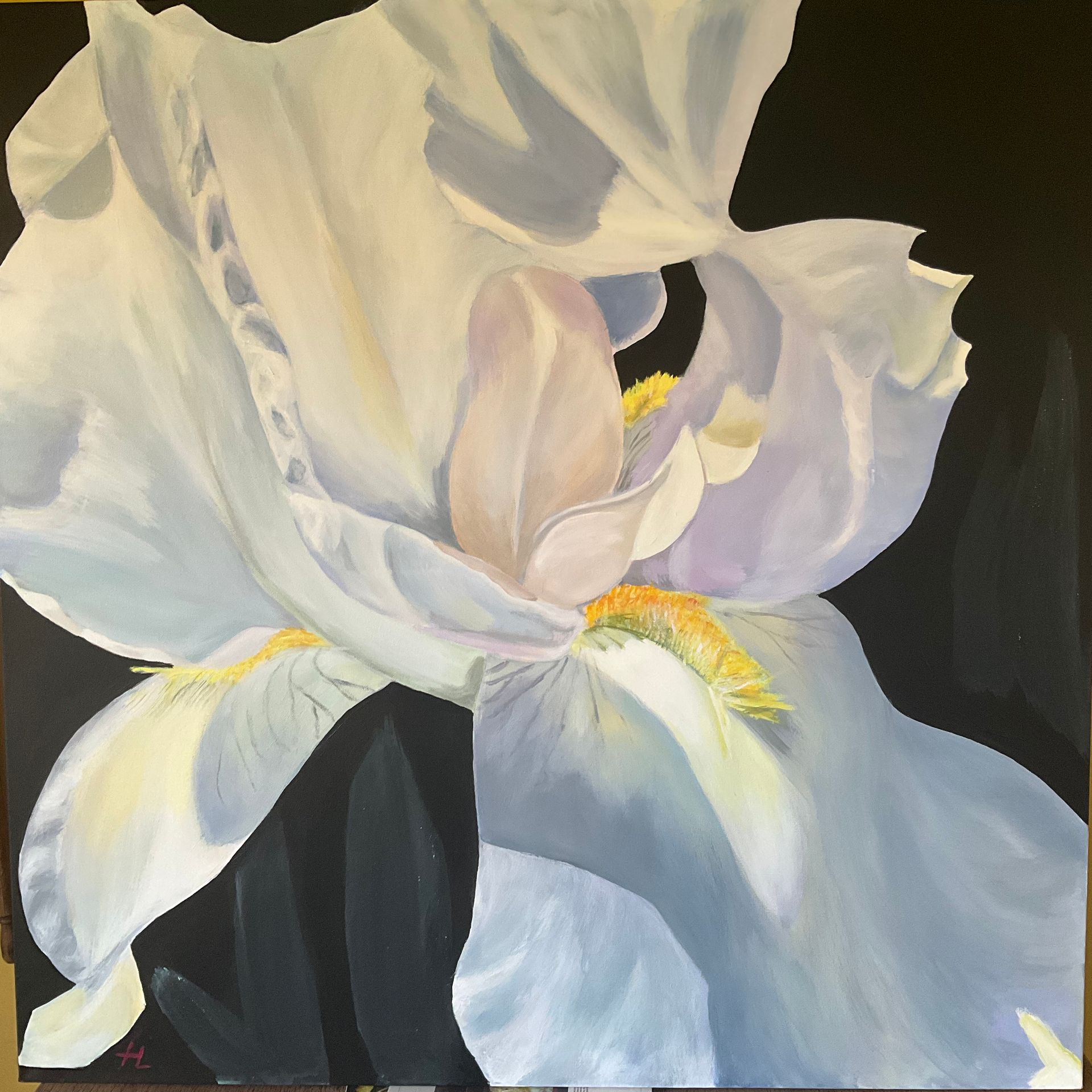 Pale Blue Iris by Heidi Lichterman, 1941