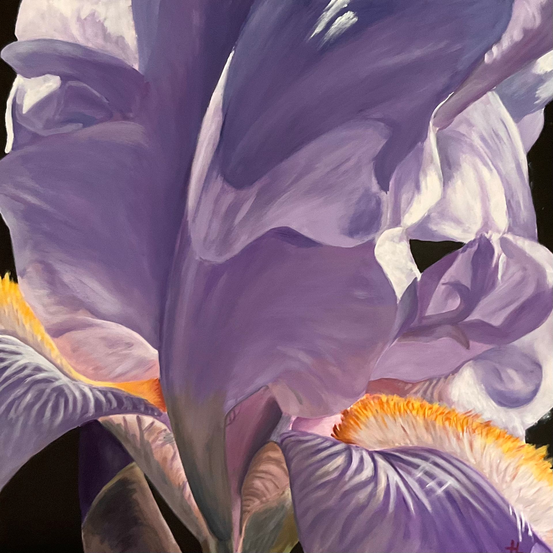 Artwork by Heidi Lichterman, Purple Iris, Made of Acrylic on canvas 