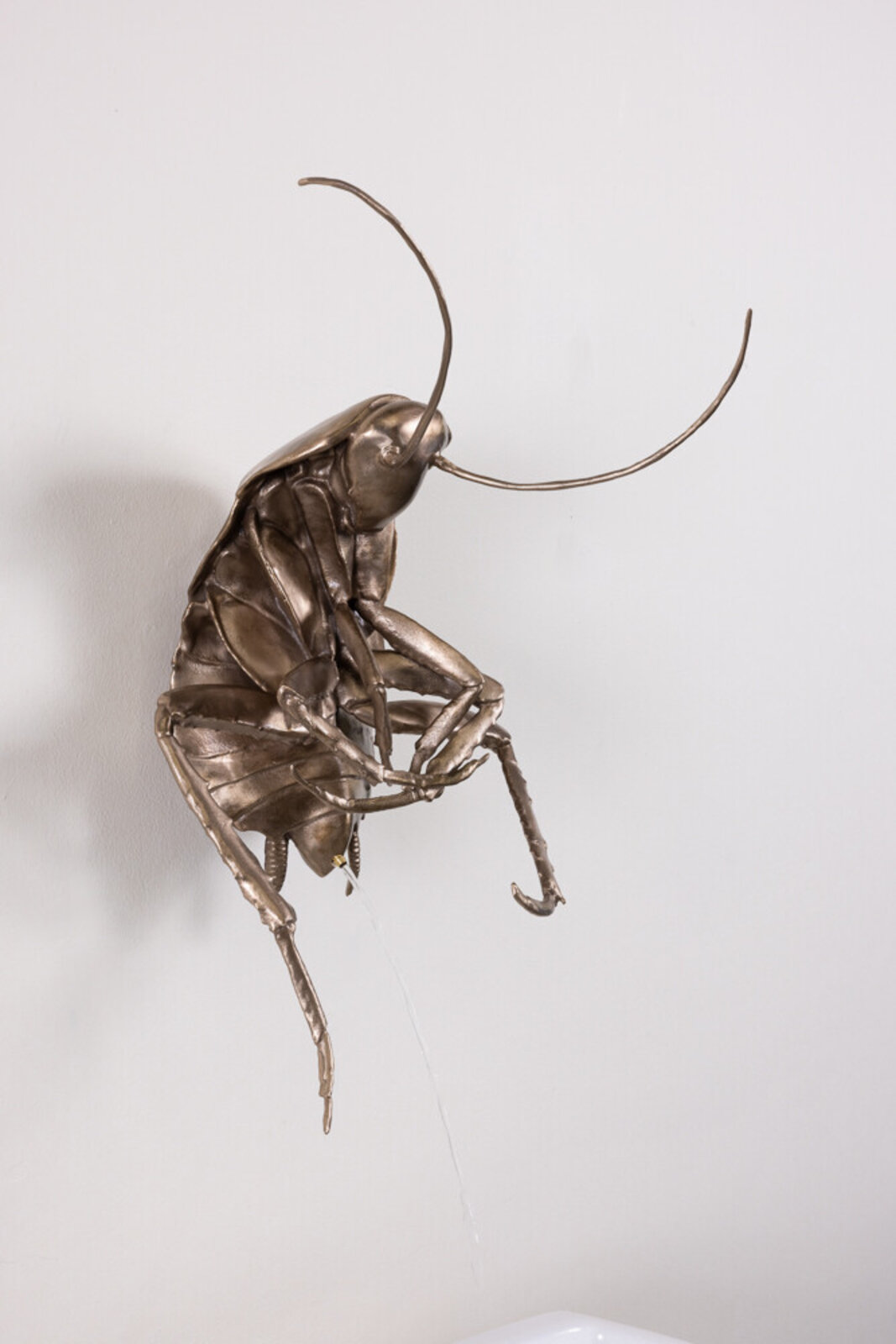 A Ladies Man by Heidi Schwegler, 2024