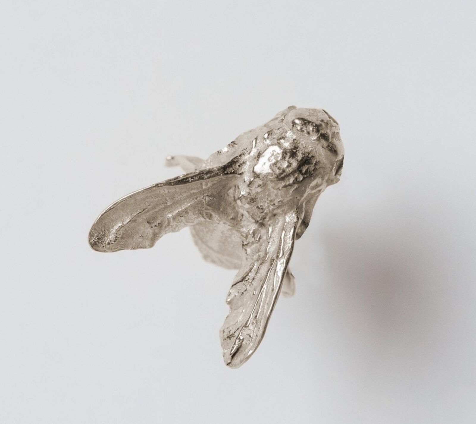A textured silver ring shaped like a moth in flight.
