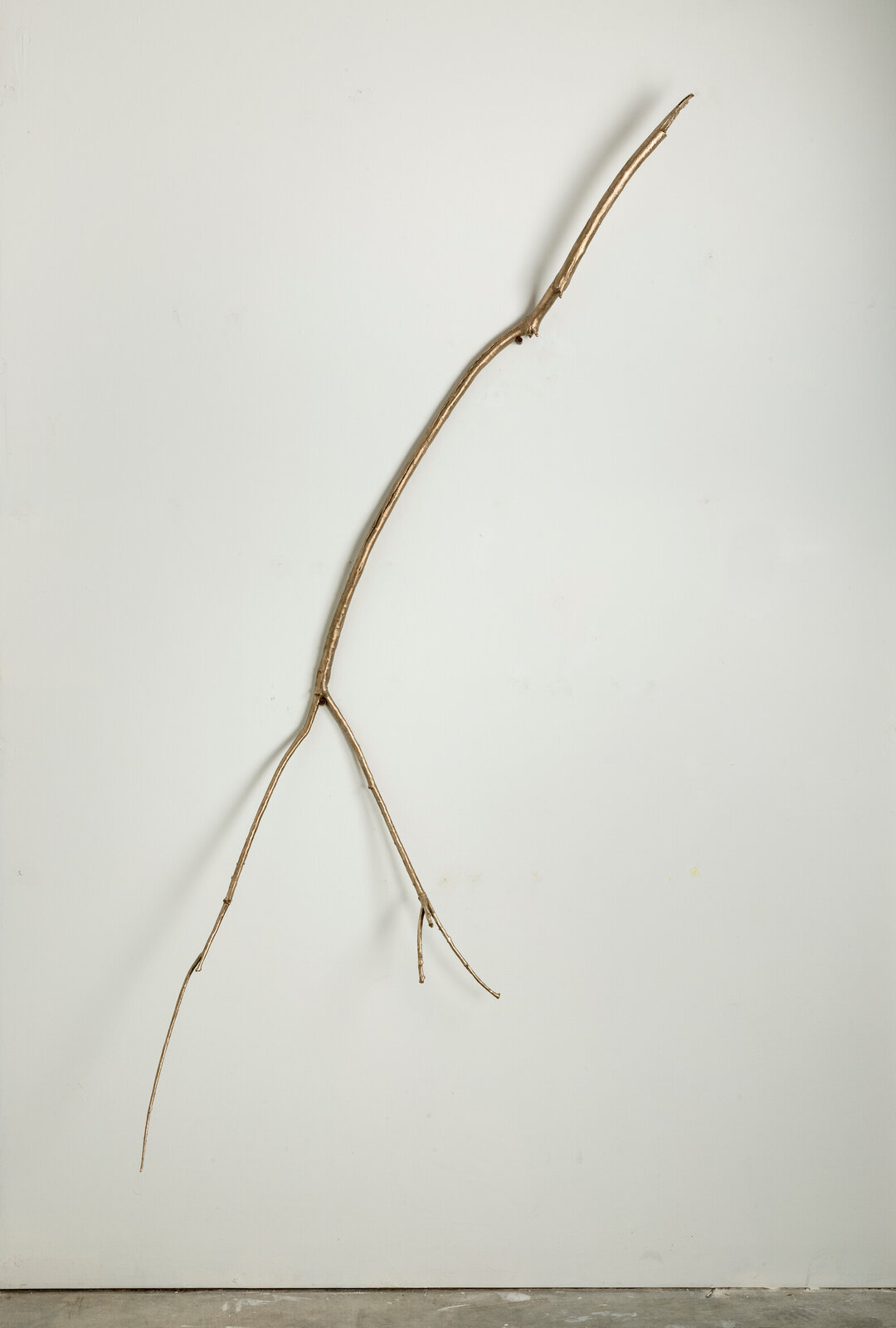 How Did We Live Here? by Heidi Schwegler, 2023