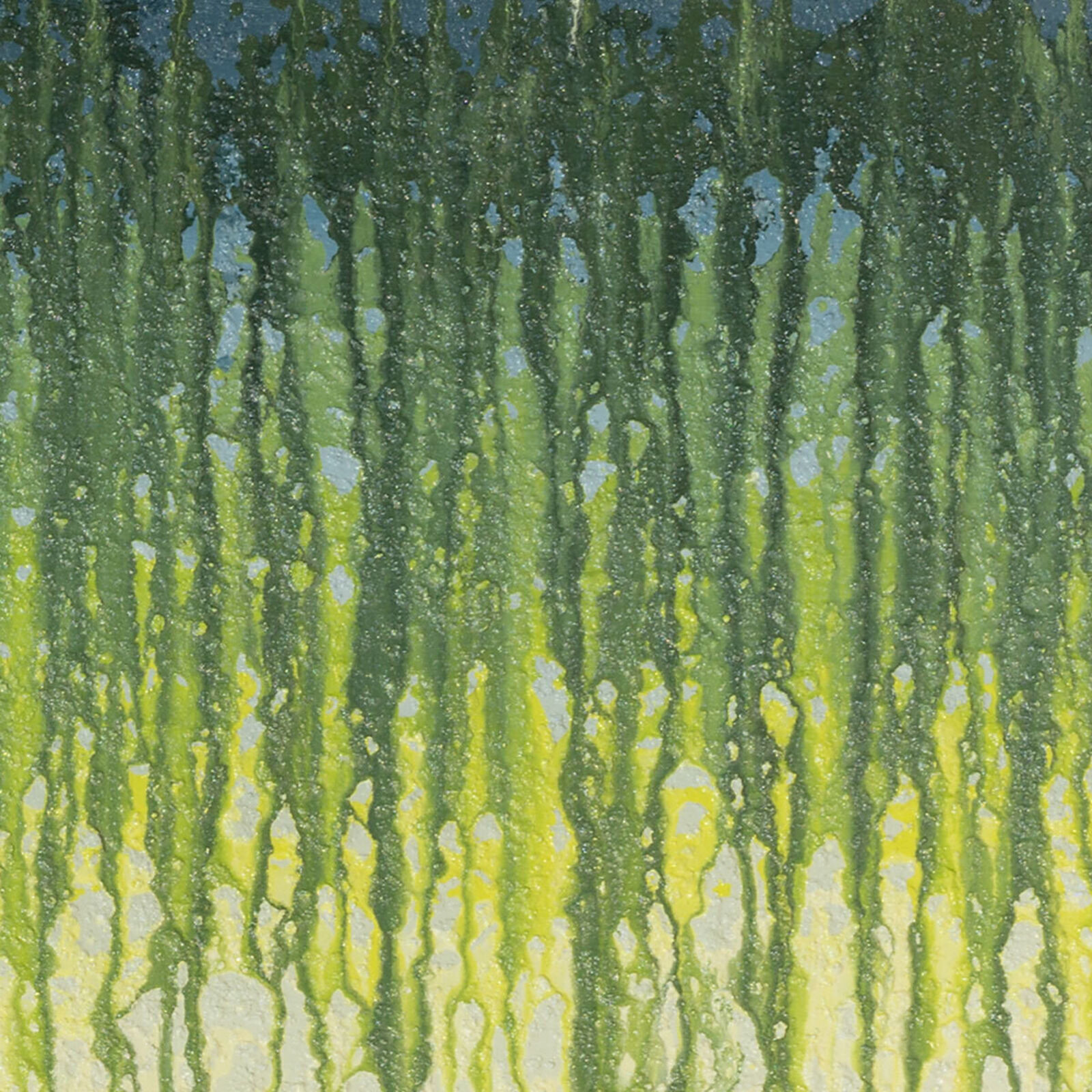 Artwork by Heidi Thompson, Warm Green Veils, Made of Acrylic on Canvas 