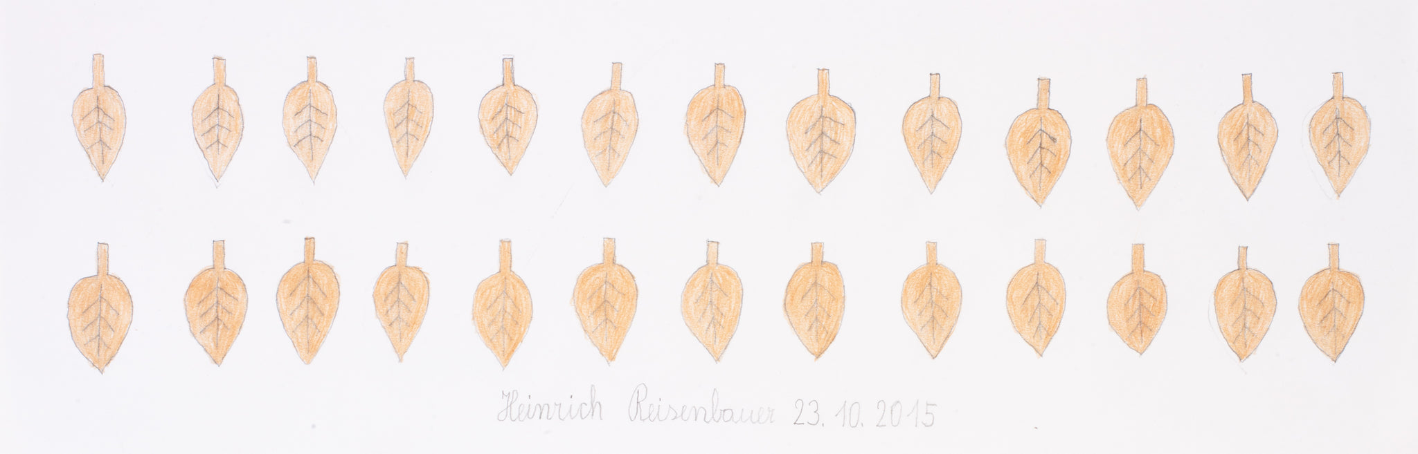 Autumn leaves by Heinrich Reisenbauer, 2015