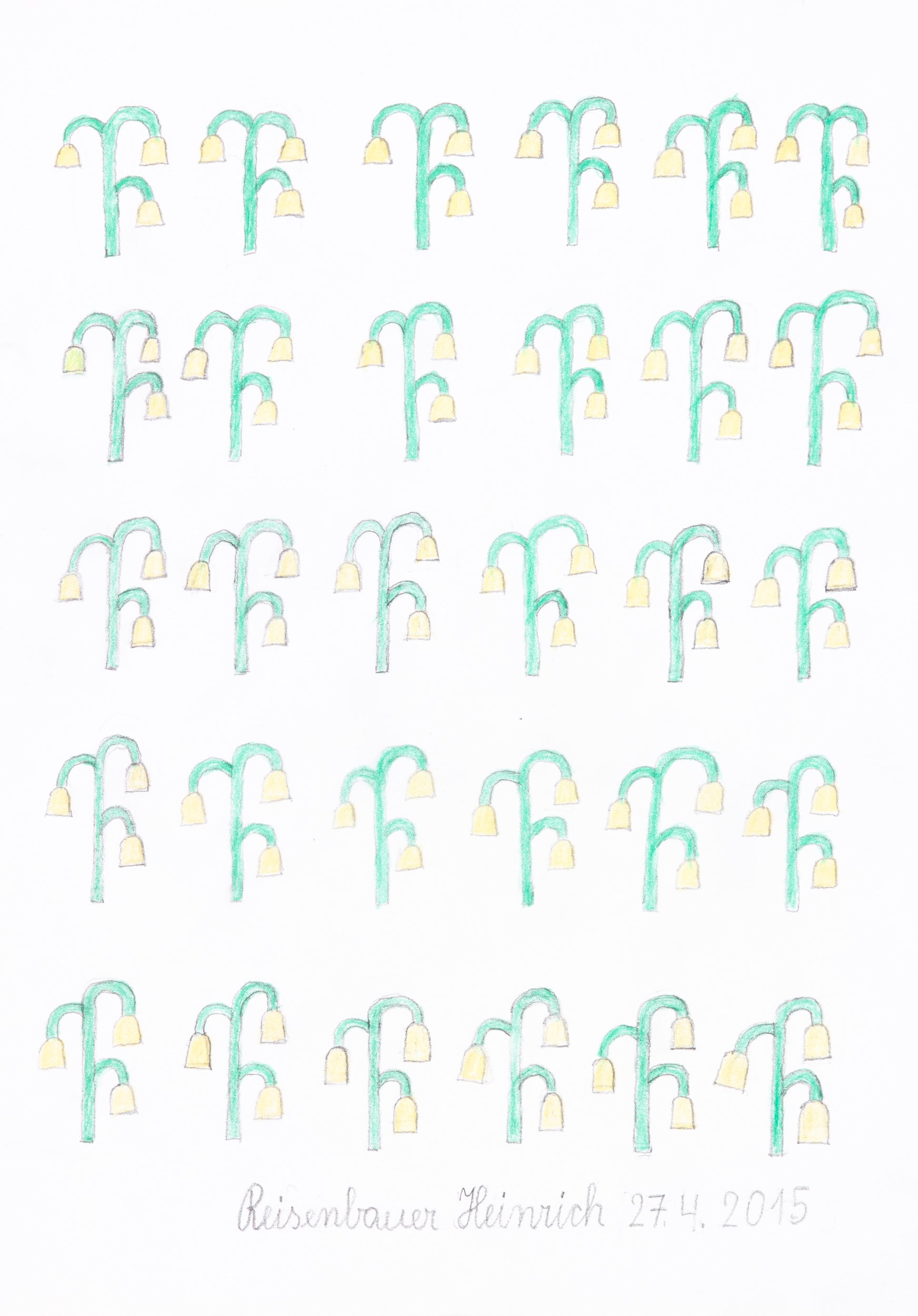 A drawing of a bunch of lily of the valley flowers.