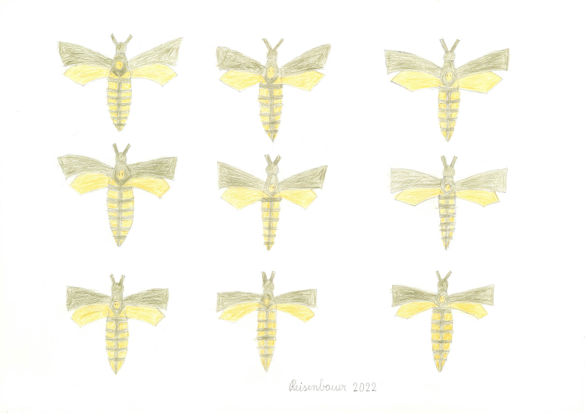 A drawing of six yellow moths on a white background.