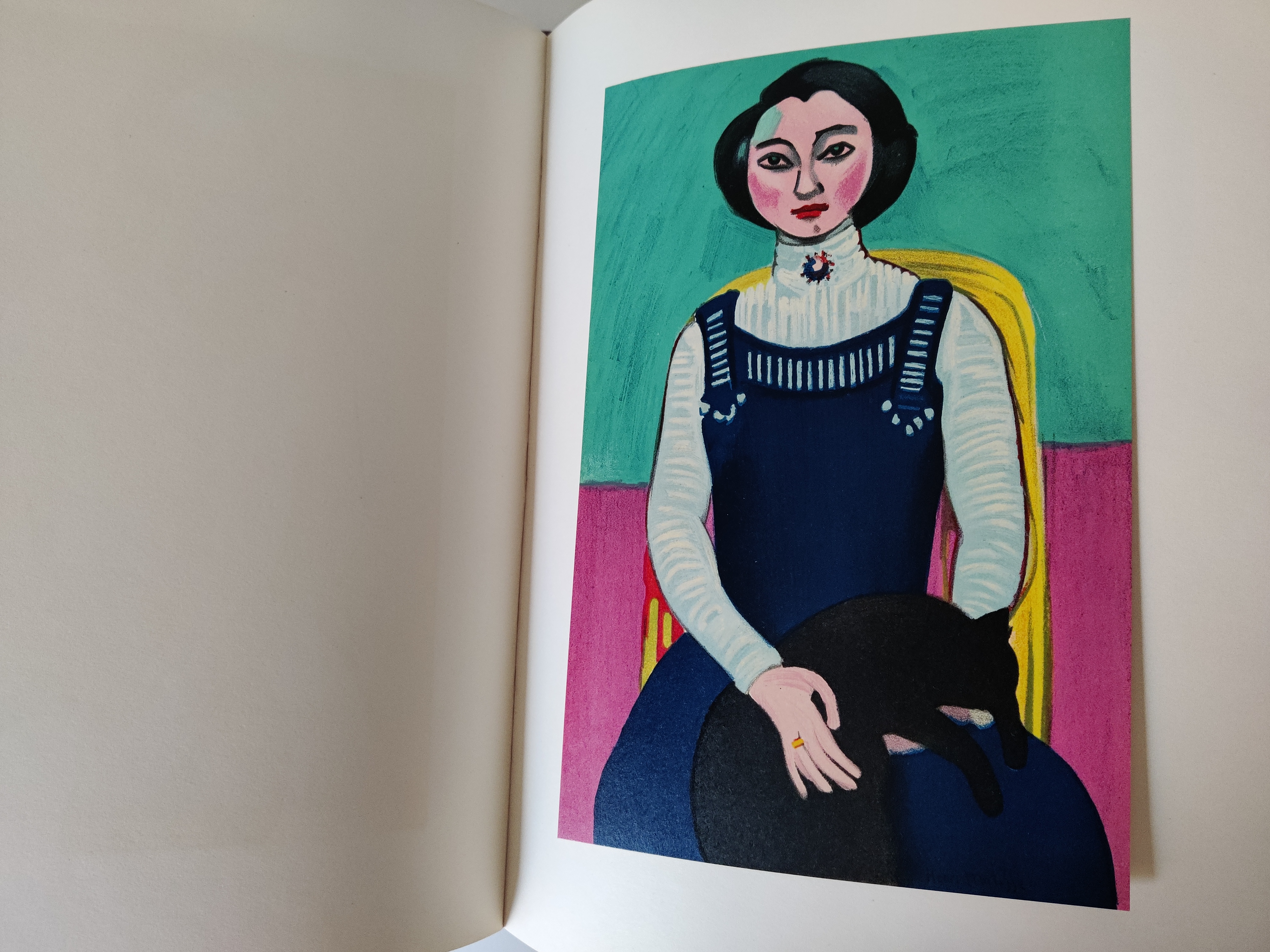 A graphic portrait book cover featuring a stylized face in bold colors.