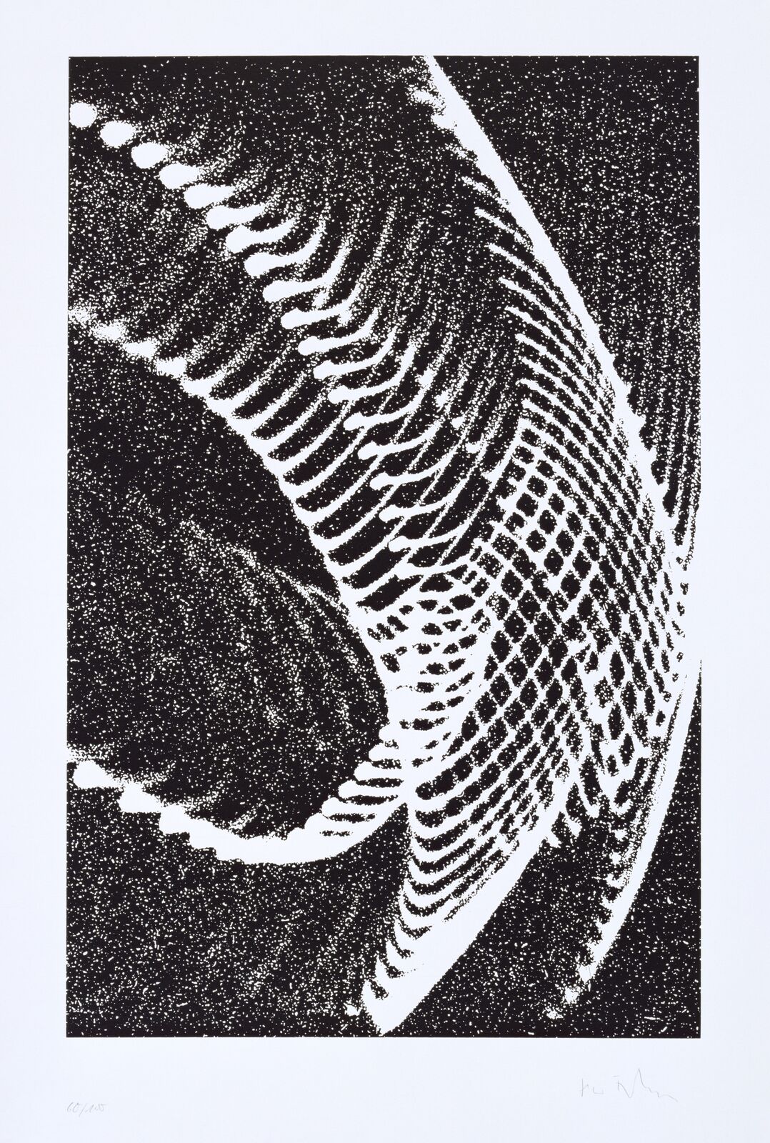 Oszillogramme 1