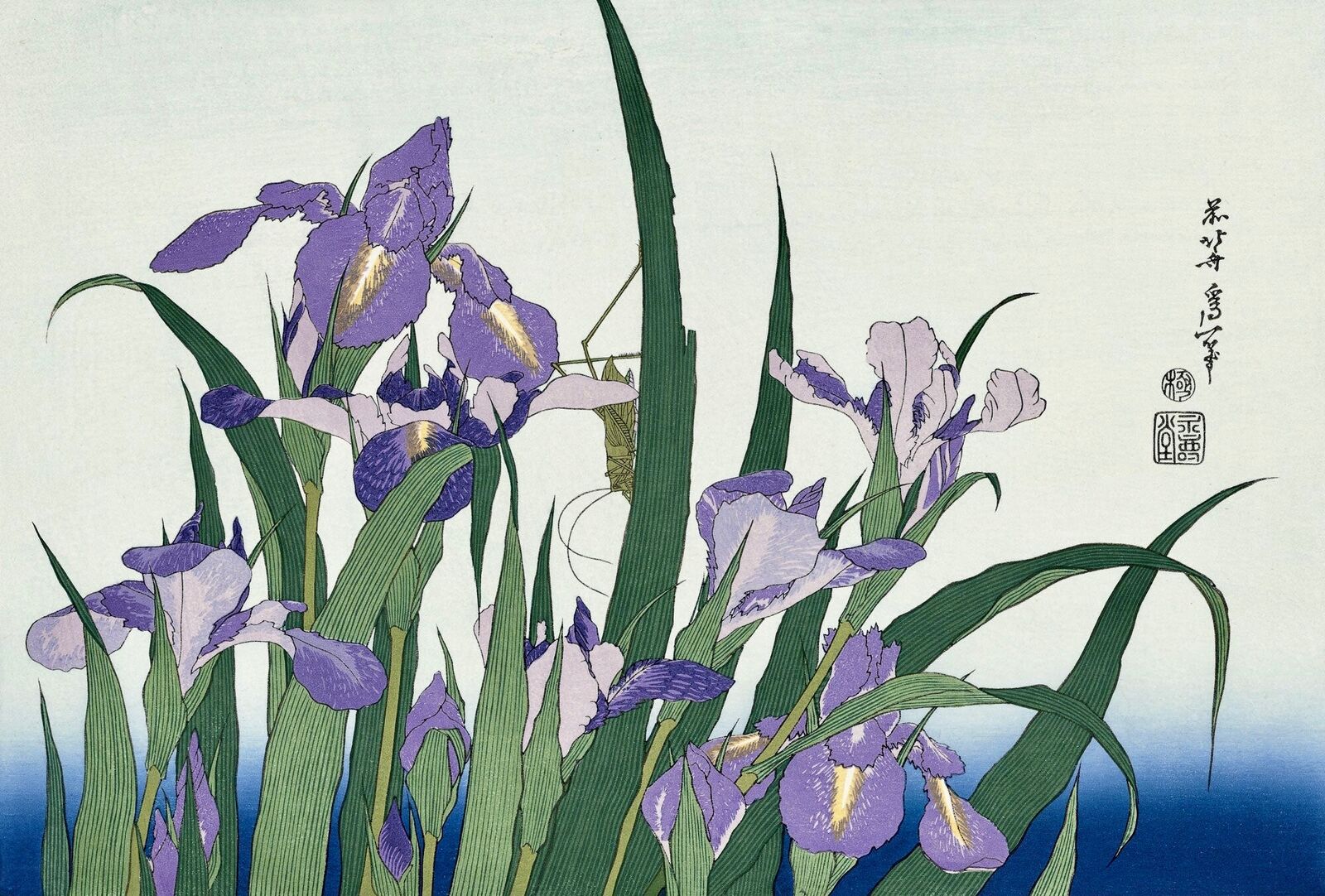 A painting of purple irises in a field of grass.