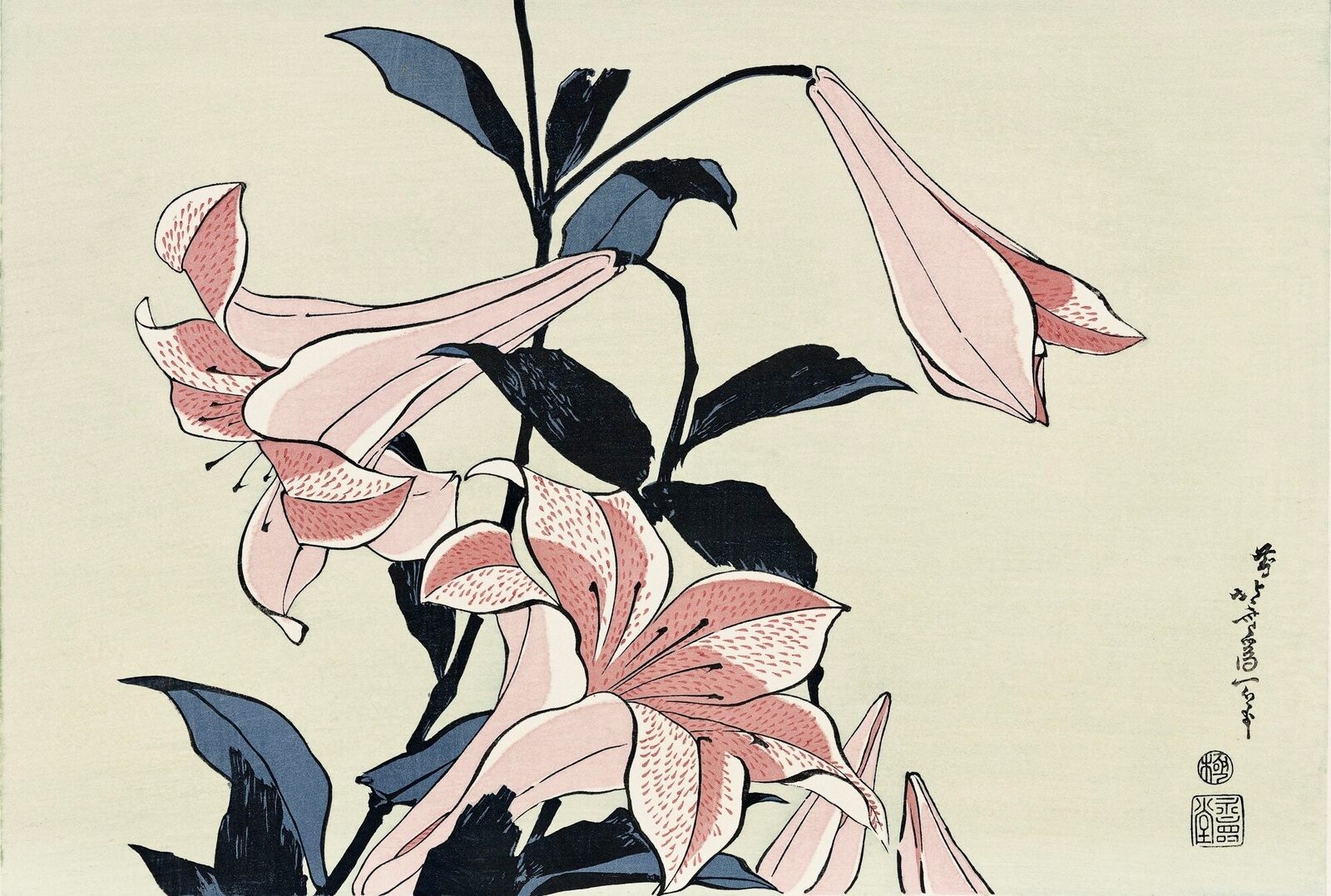A painting of pink lilies on a white background. 