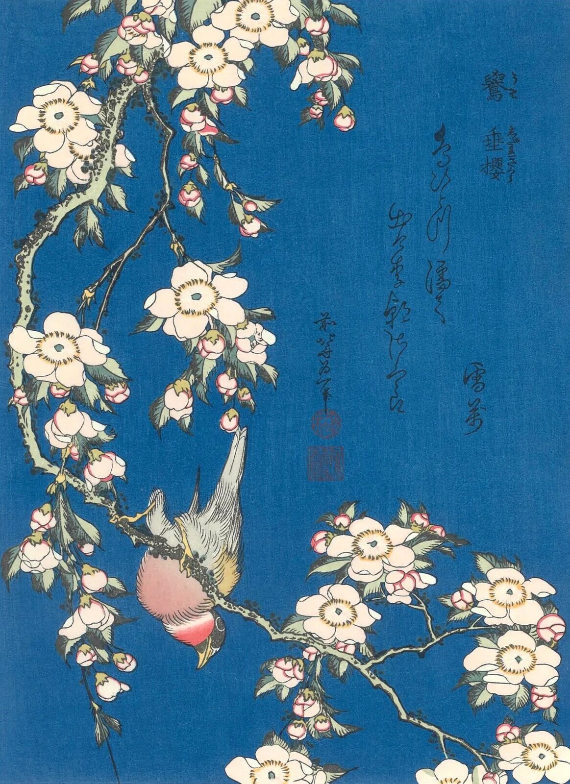 A bird sitting on a branch of a tree with flowers.