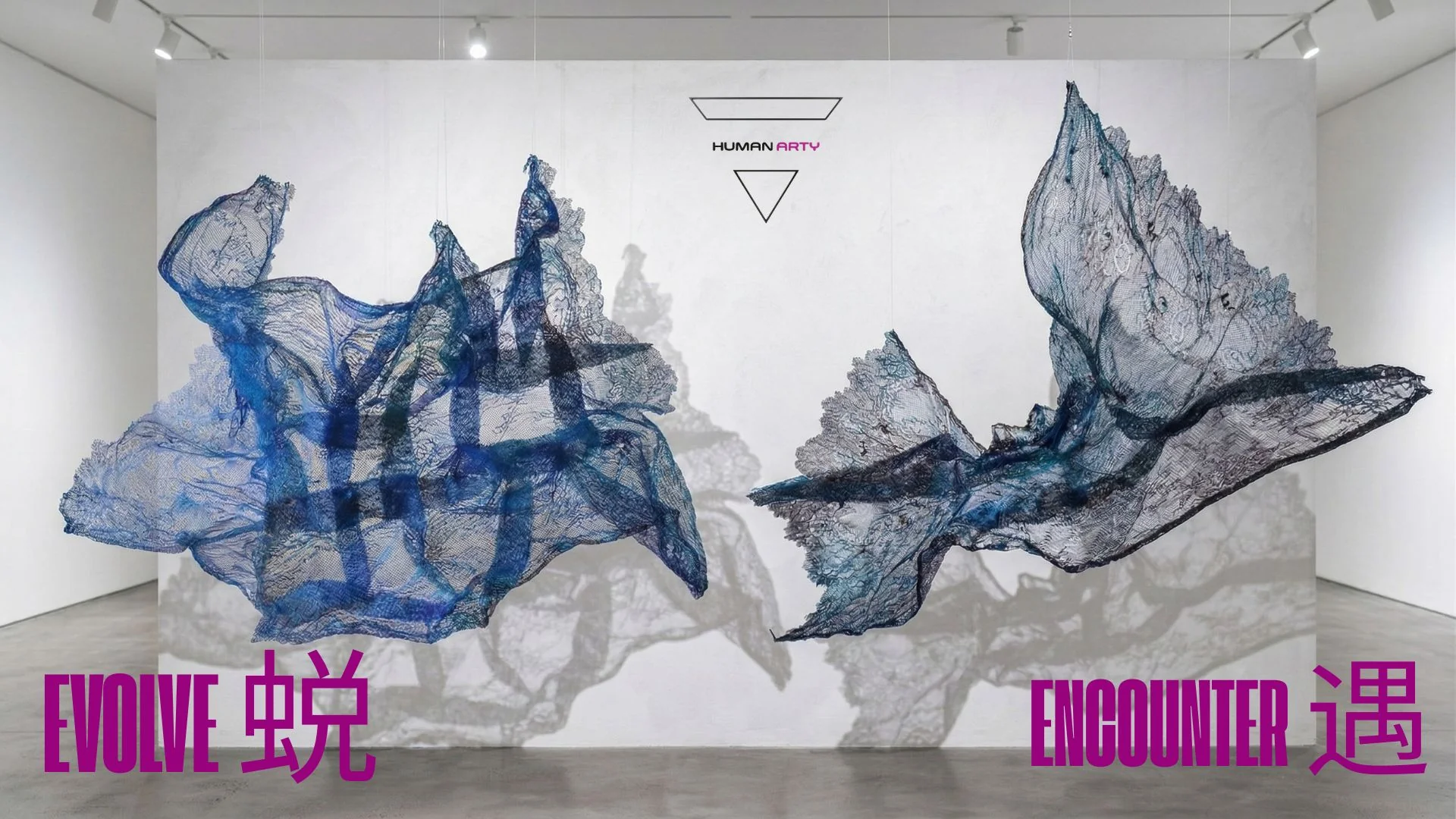 A gallery installation featuring two suspended, net-like sculptures in blue and black against a white backdrop.