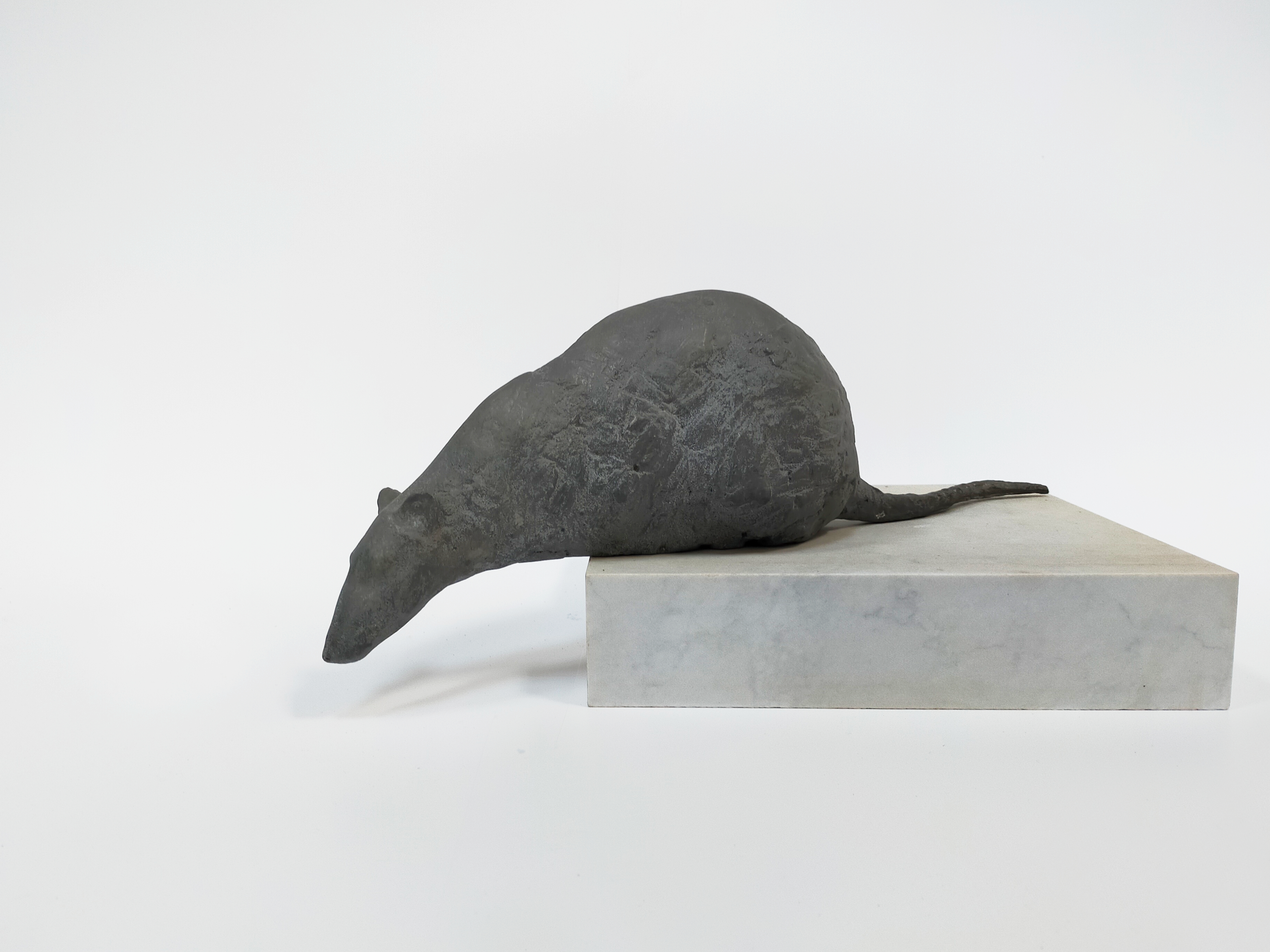 Rat II by Ida Karkoszka, 2019