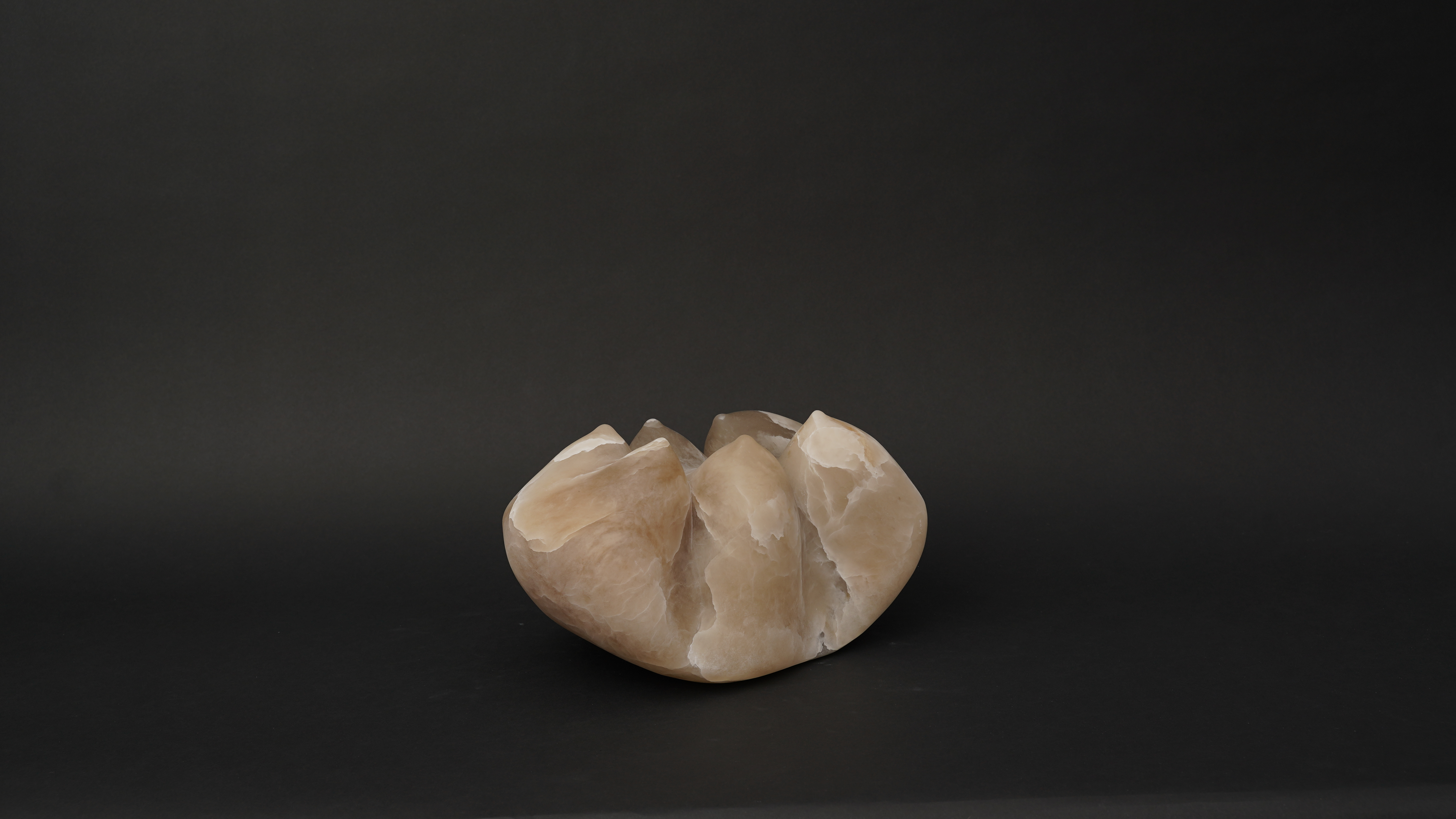 23/31, from the series "Taste of Joy" by Ida Karkoszka, 2025