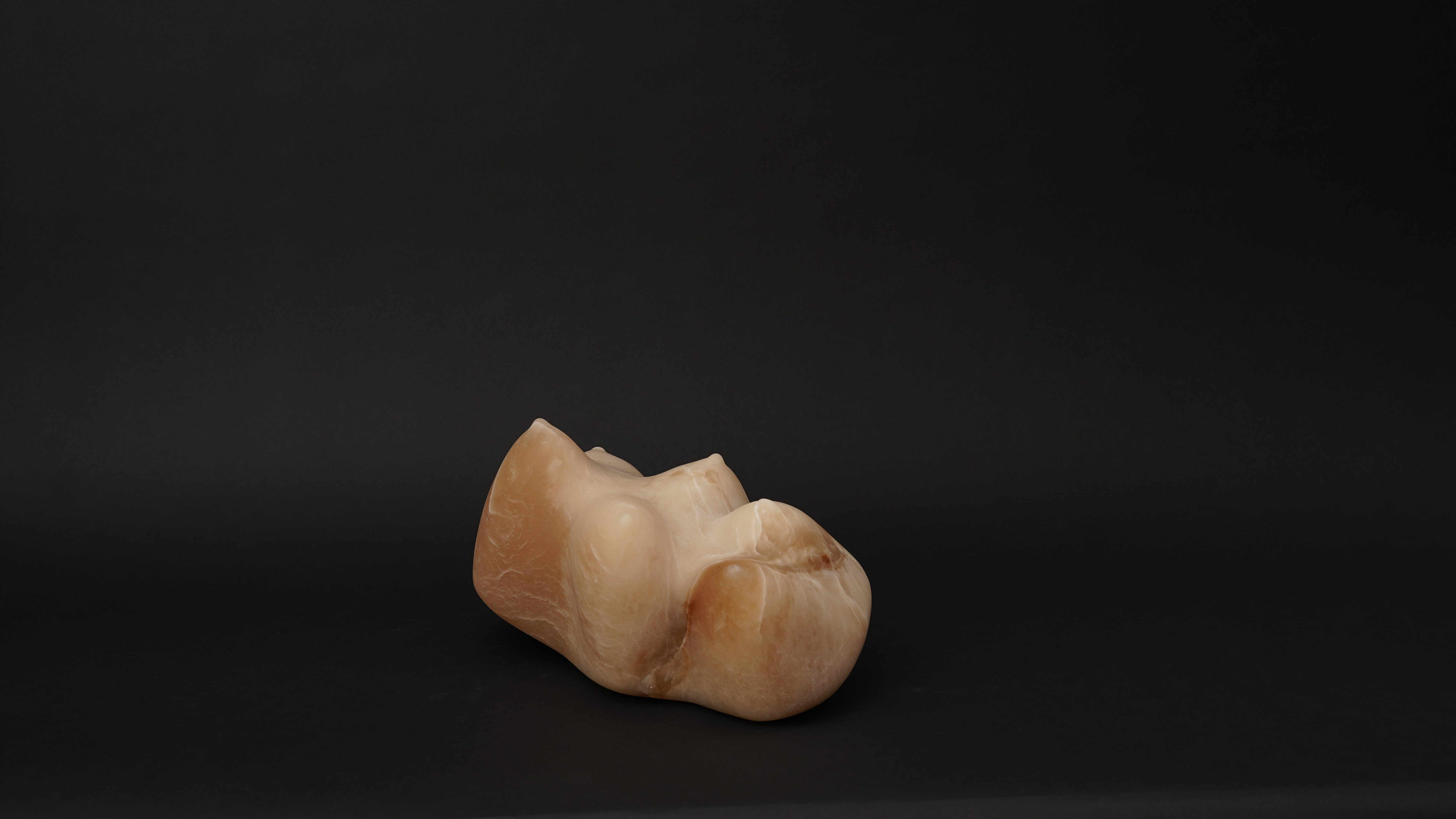 A model of a tooth on a black background.