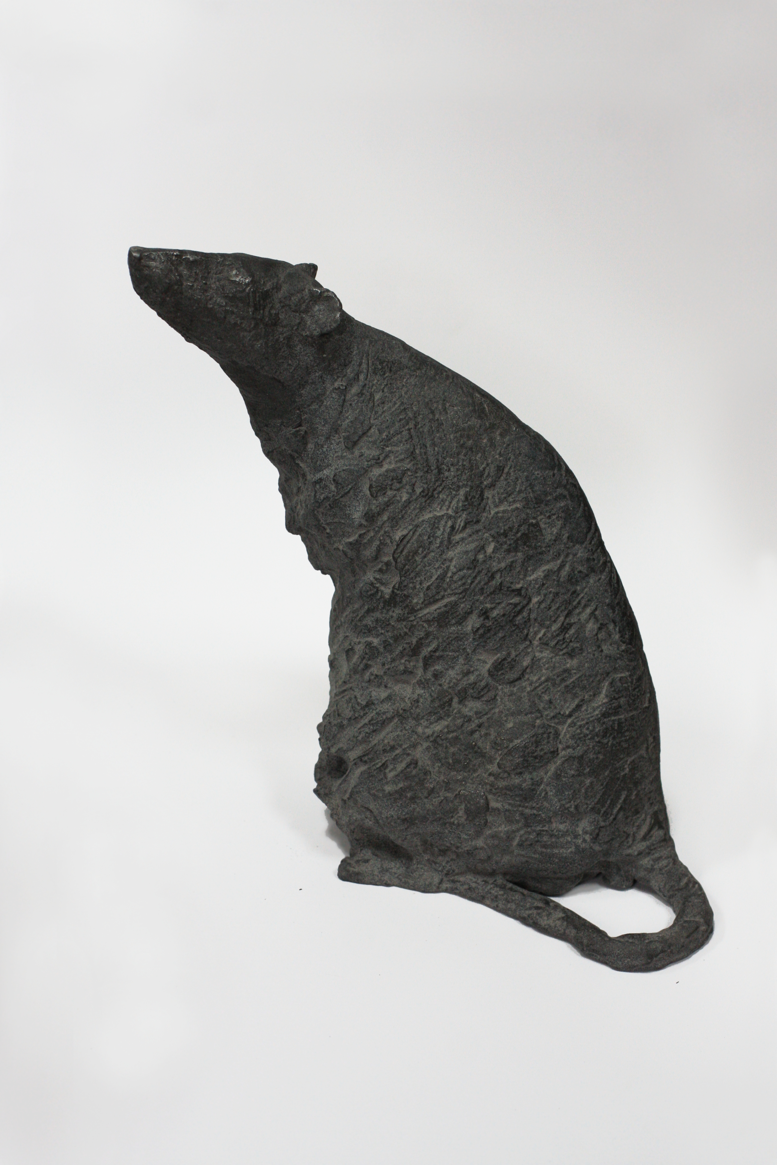 Rat V by Ida Karkoszka, 2019