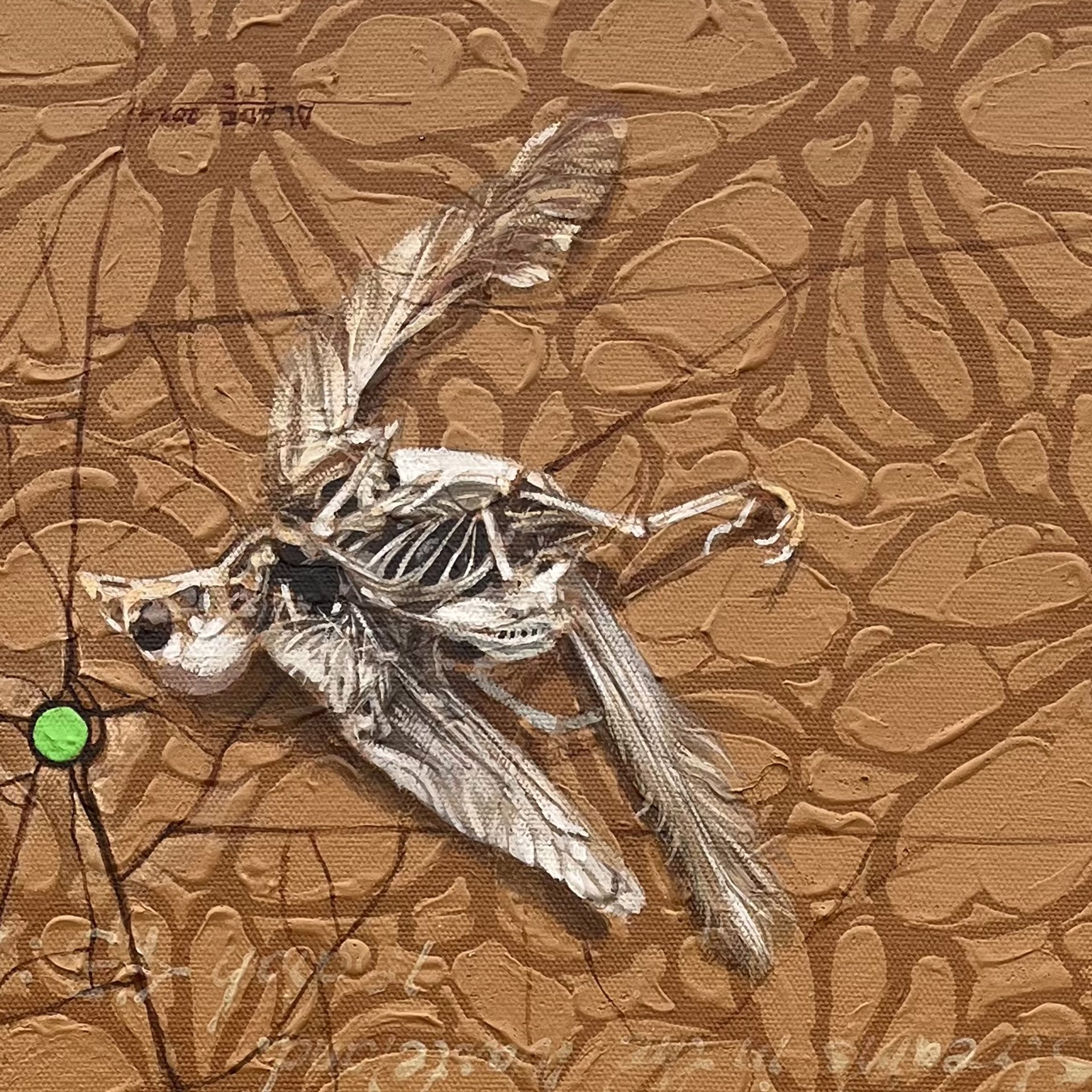 A drawing of a spider on a brown background.