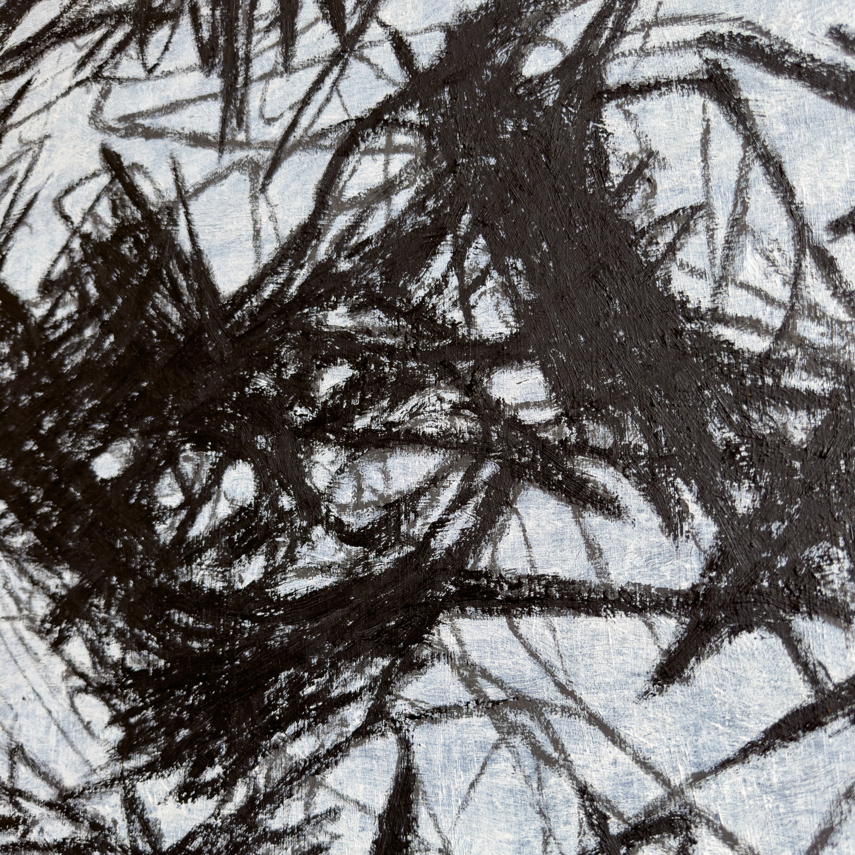 A monochromatic close-up of a textured, organic form resembling tangled roots or foliage.