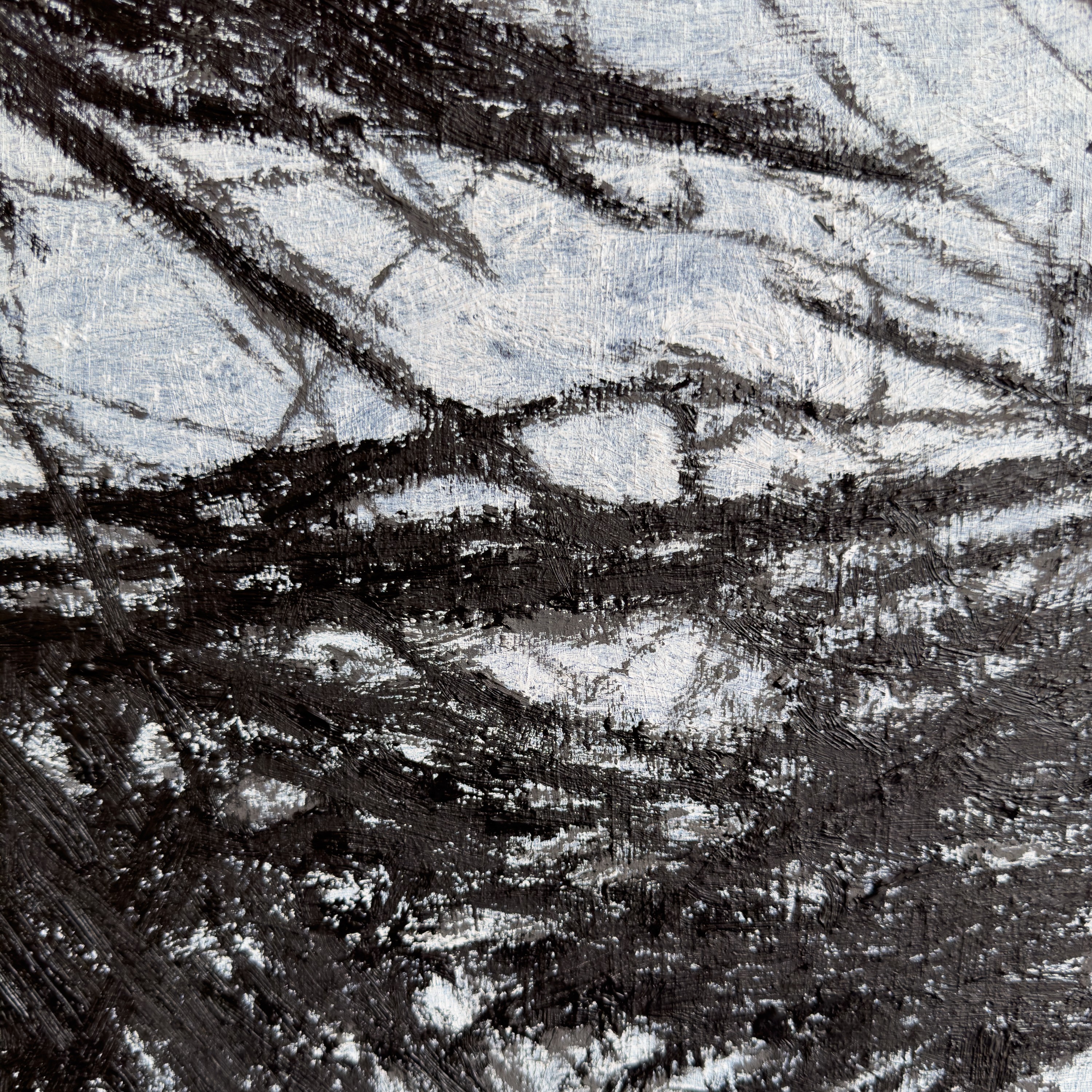 A monochromatic close-up of a textured, organic form resembling tangled roots or foliage.