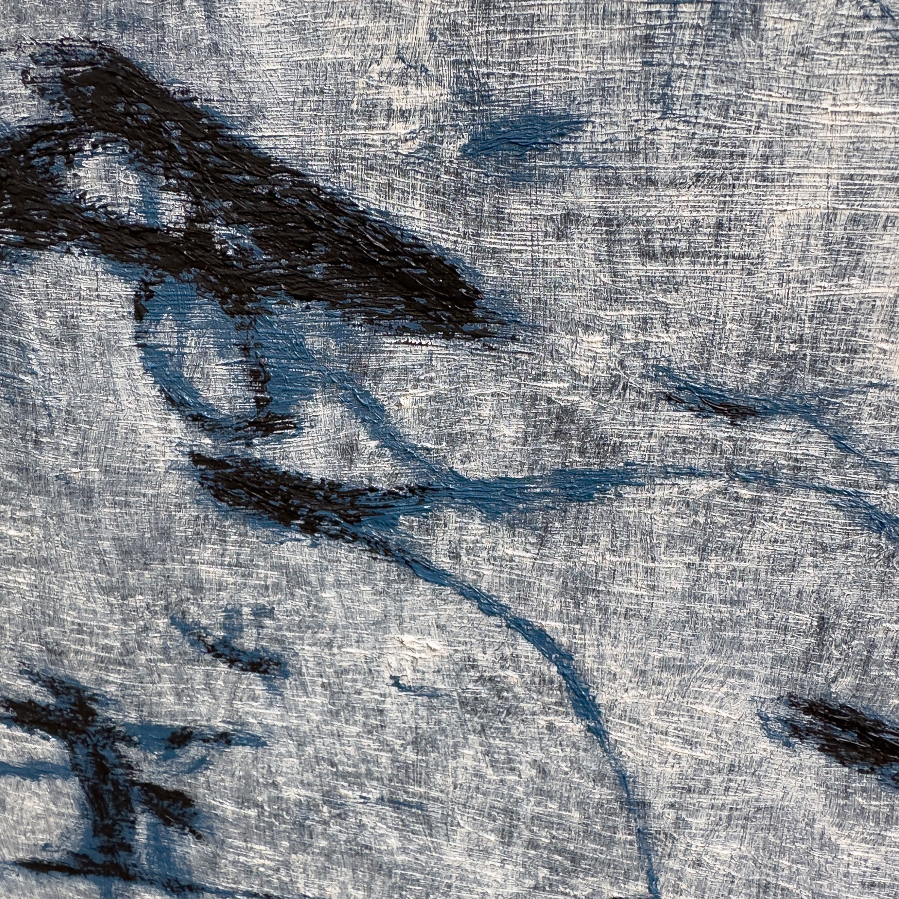 A textured close-up of a light surface marked by dark, organic lines and shadows.