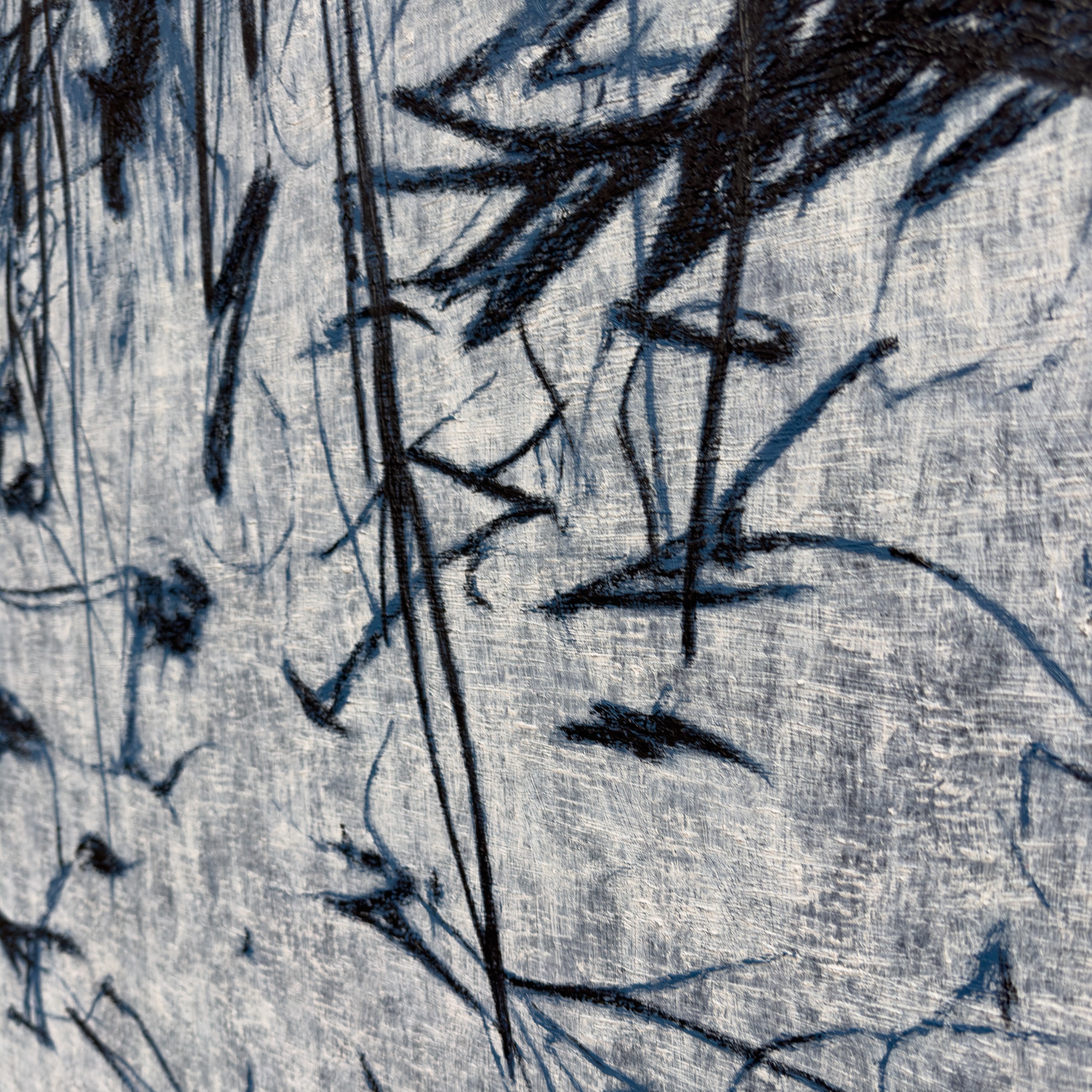 A textured close-up of a light surface marked by dark, organic lines and shadows.
