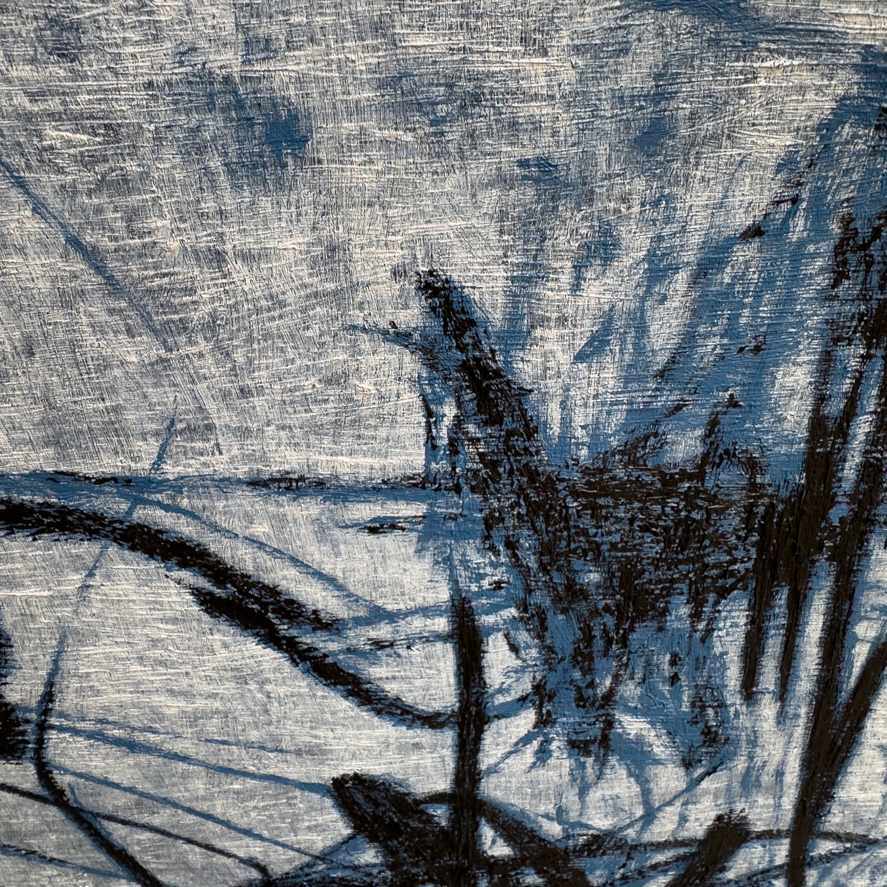 A textured close-up of a light surface marked by dark, organic lines and shadows.