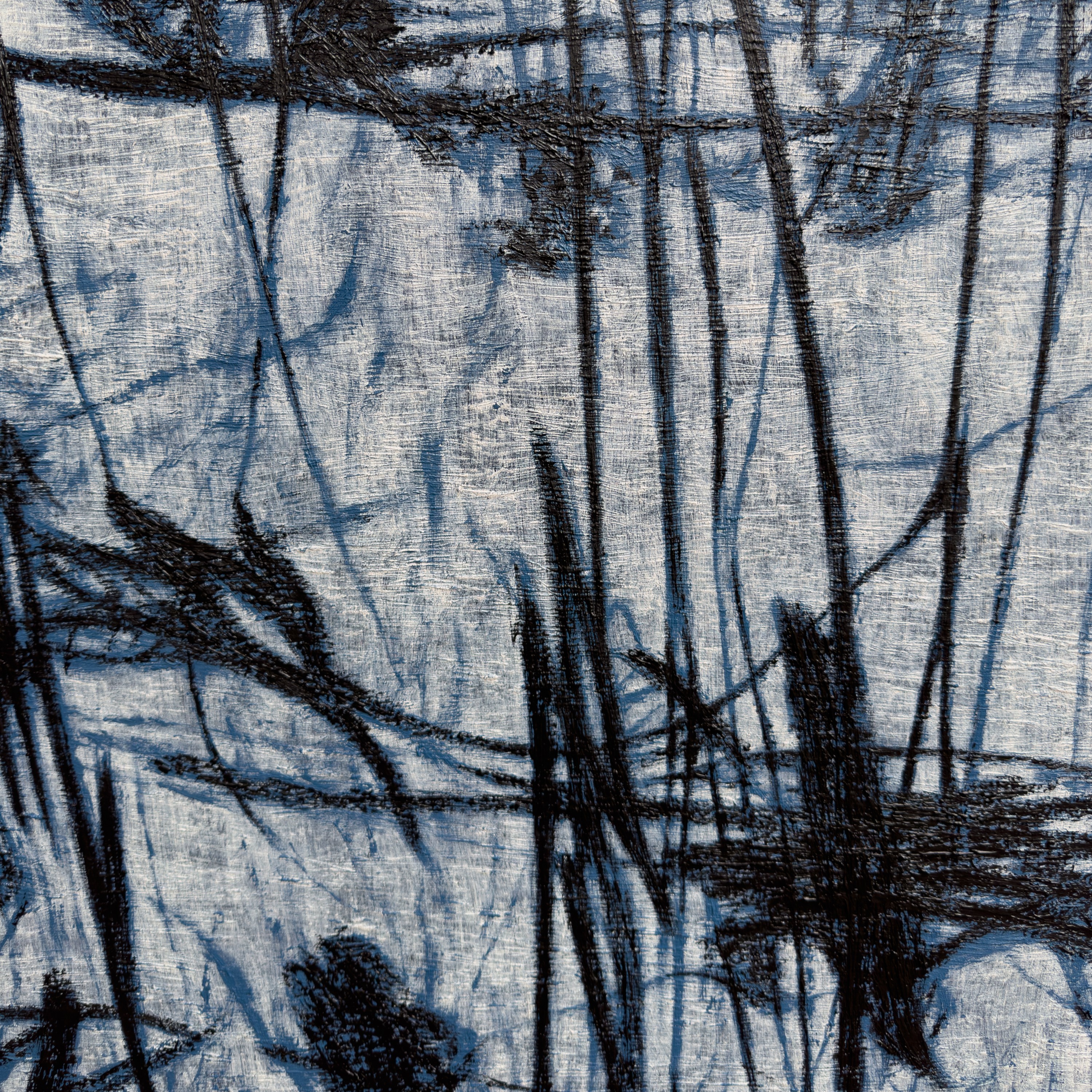 A textured close-up of a light surface marked by dark, organic lines and shadows.