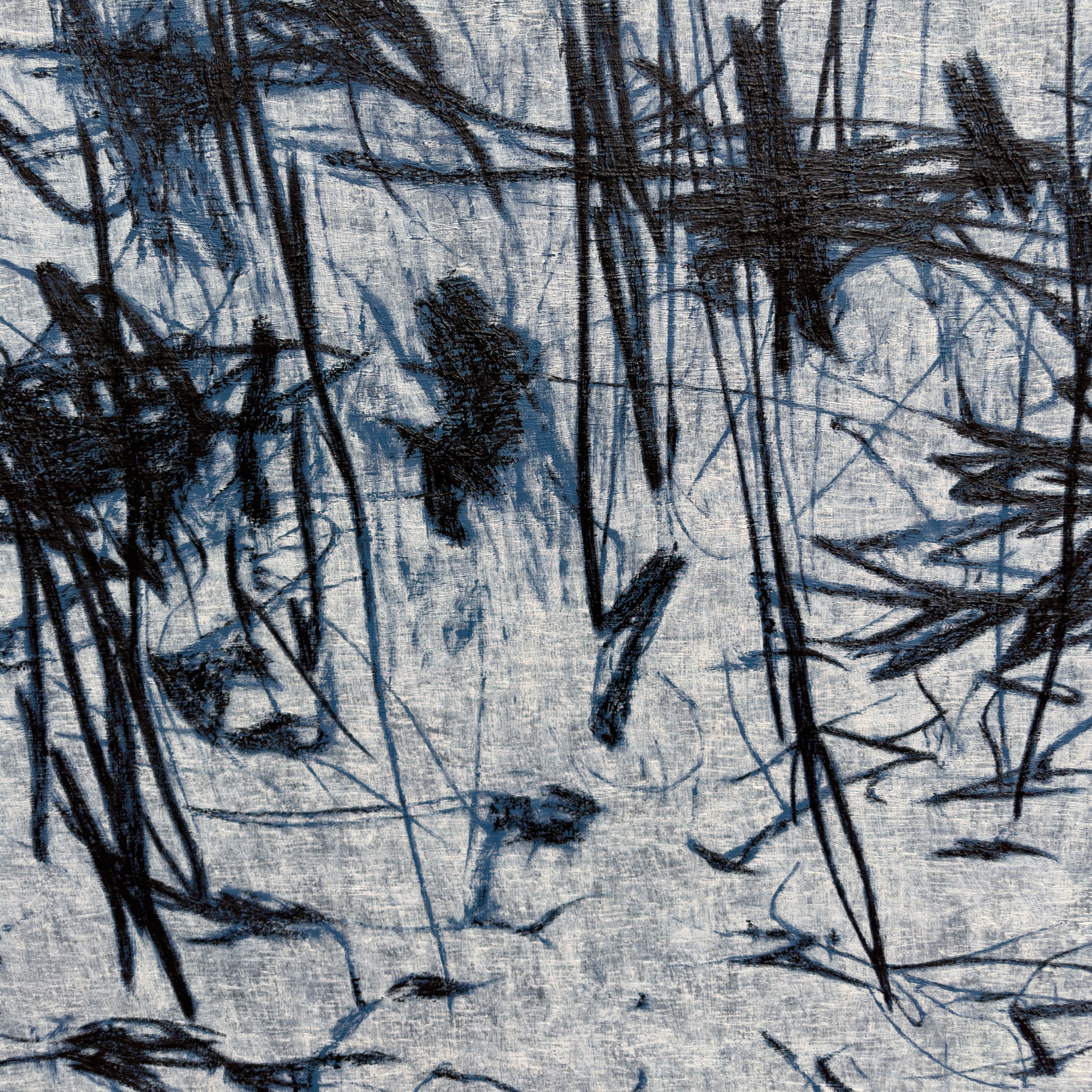 A textured close-up of a light surface marked by dark, organic lines and shadows.