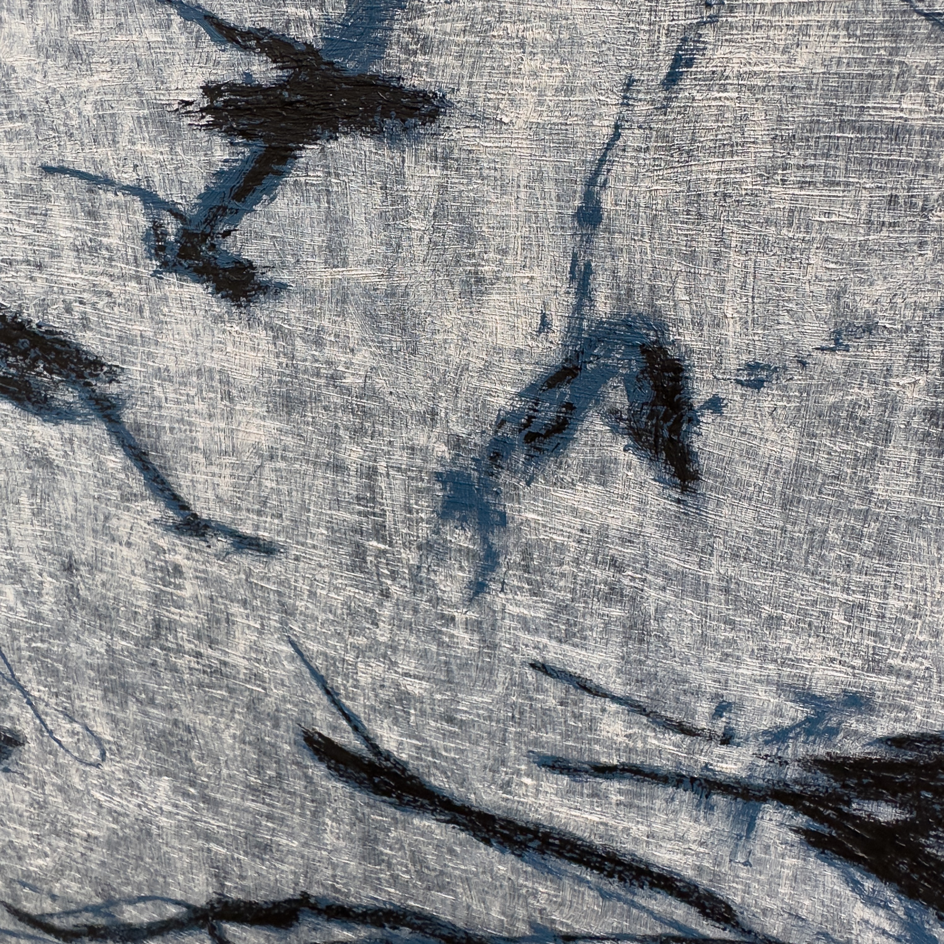 A textured close-up of a light surface marked by dark, organic lines and shadows.
