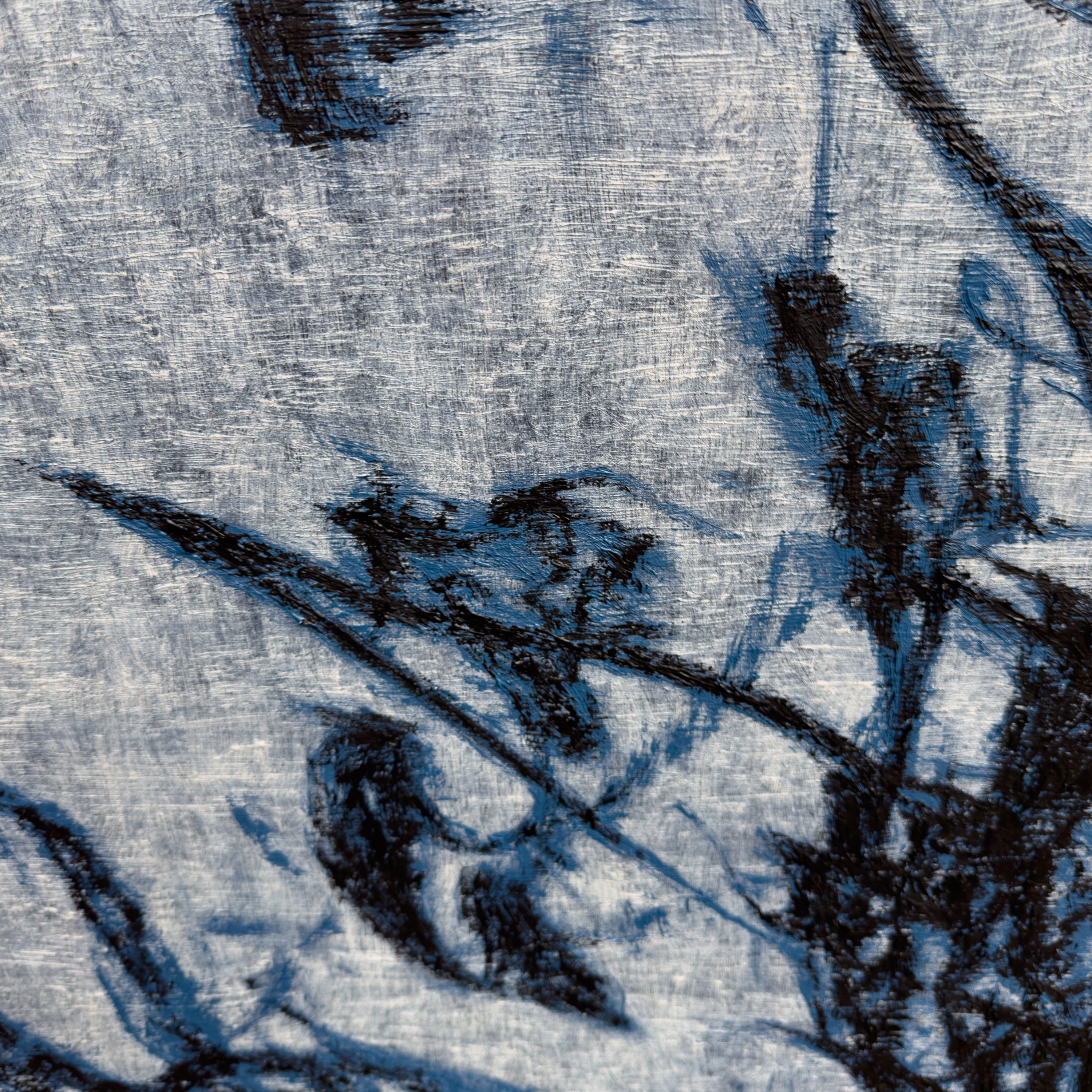 A textured close-up of a light surface marked by dark, organic lines and shadows.